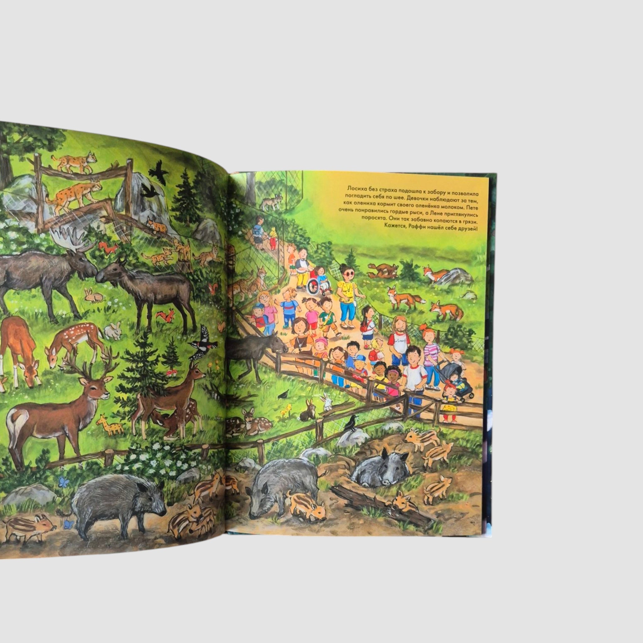 Fun Hide and Seek. Good Night! Wildlife Park 