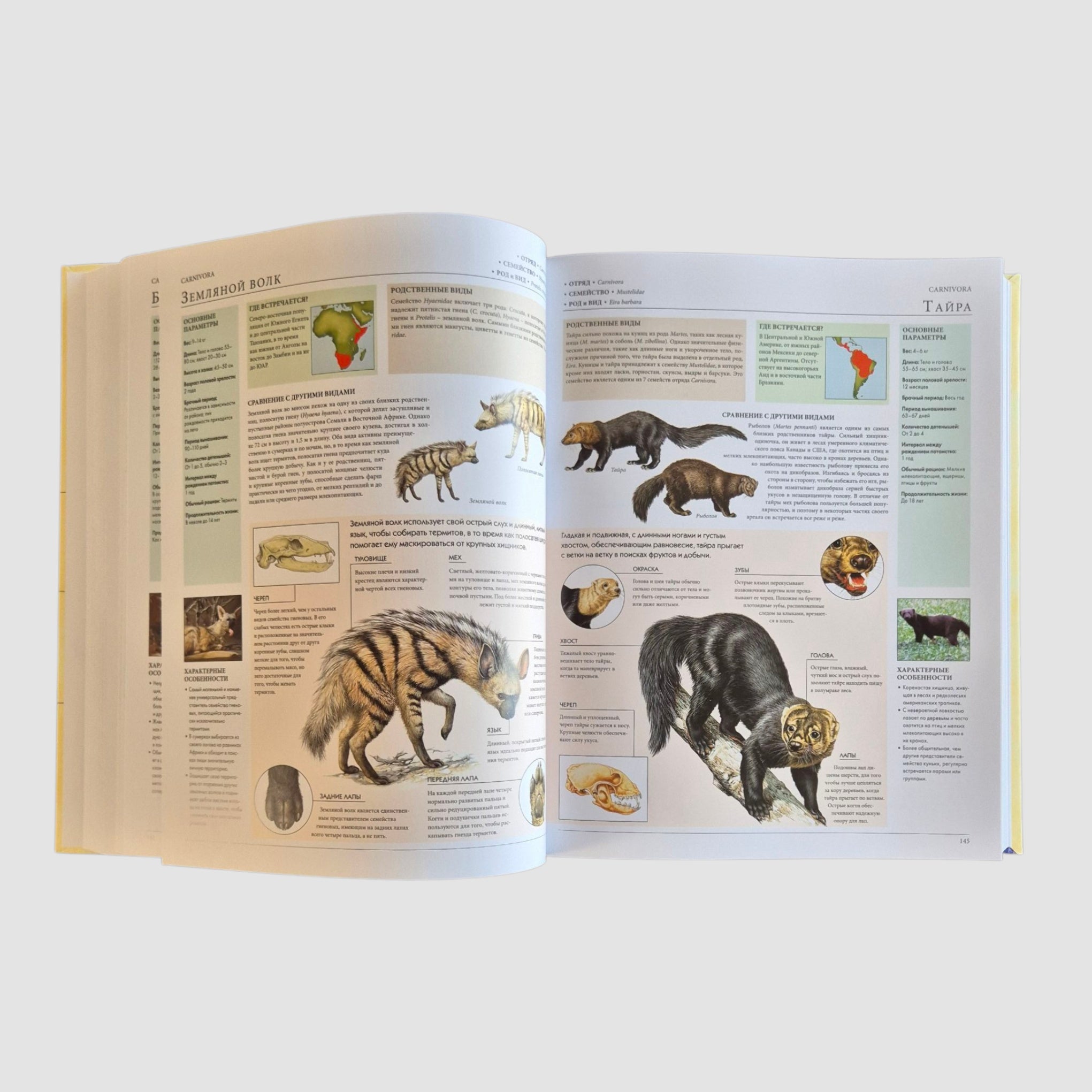 Animals of the World. My Big Encyclopedia