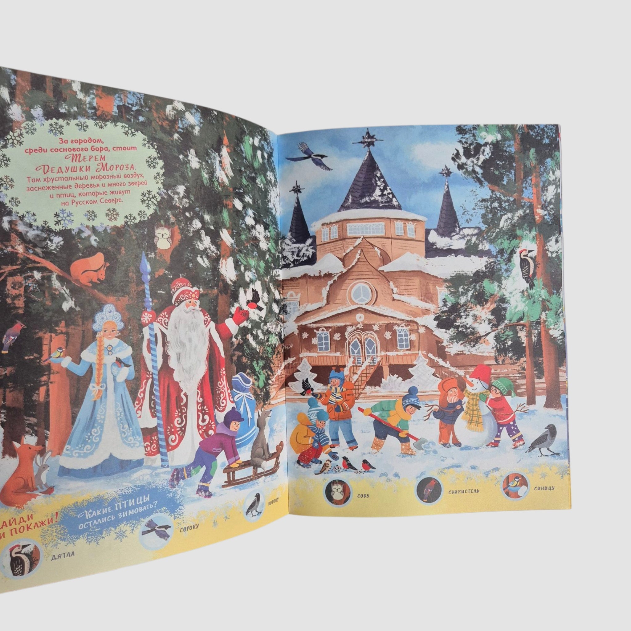 Едем к Деду Морозу. Виммельбух