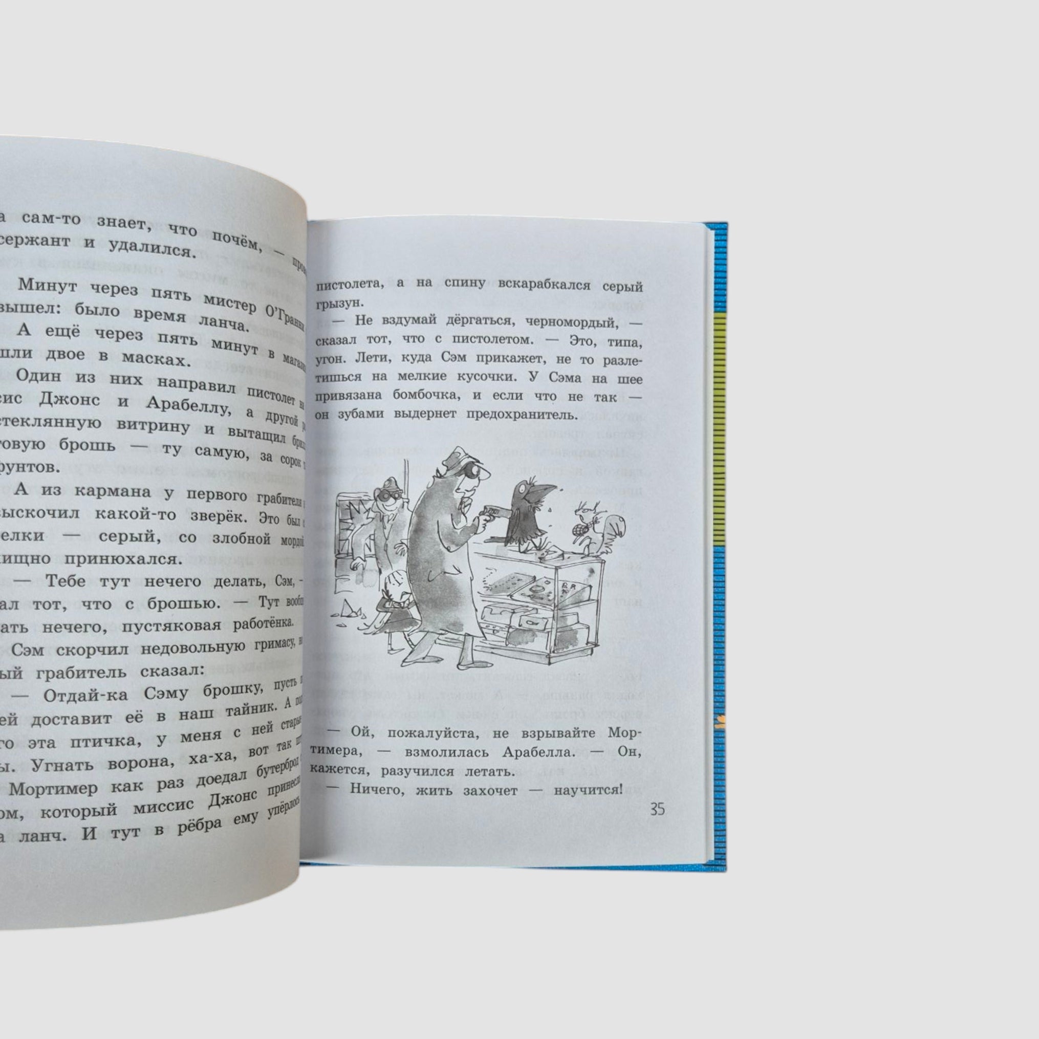 Arabella and the Raven