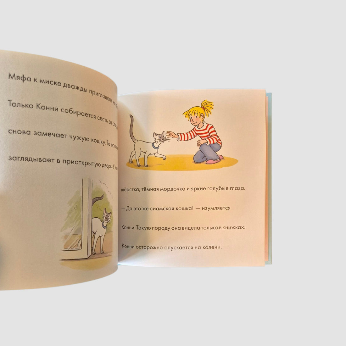 Учусь читать с Конни: Загадочный воришка