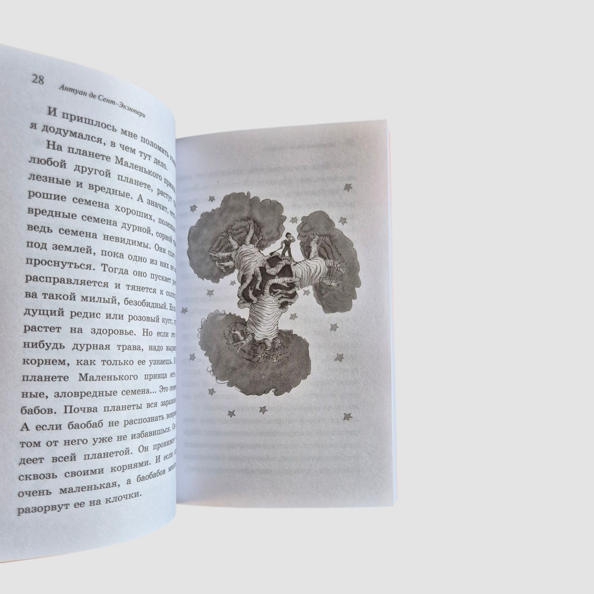 Маленький принц