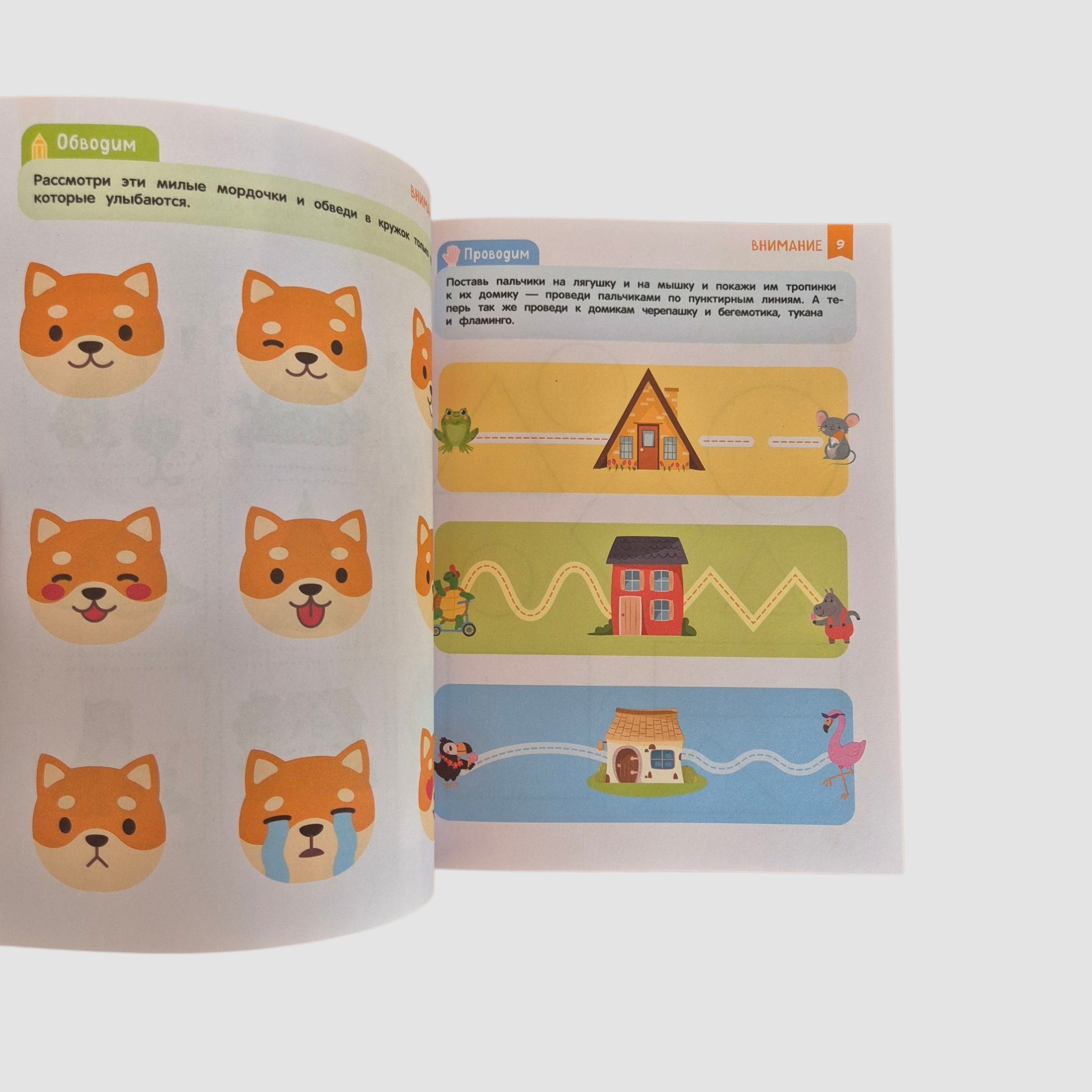 Нейроигры для развития мозга. Игры и задания для развития интеллекта. 3+