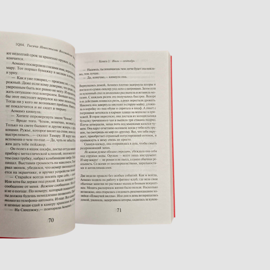 1Q84. Тысяча Невестьсот Восемьдесят Четыре. Кн. 2. Июль - сентябрь