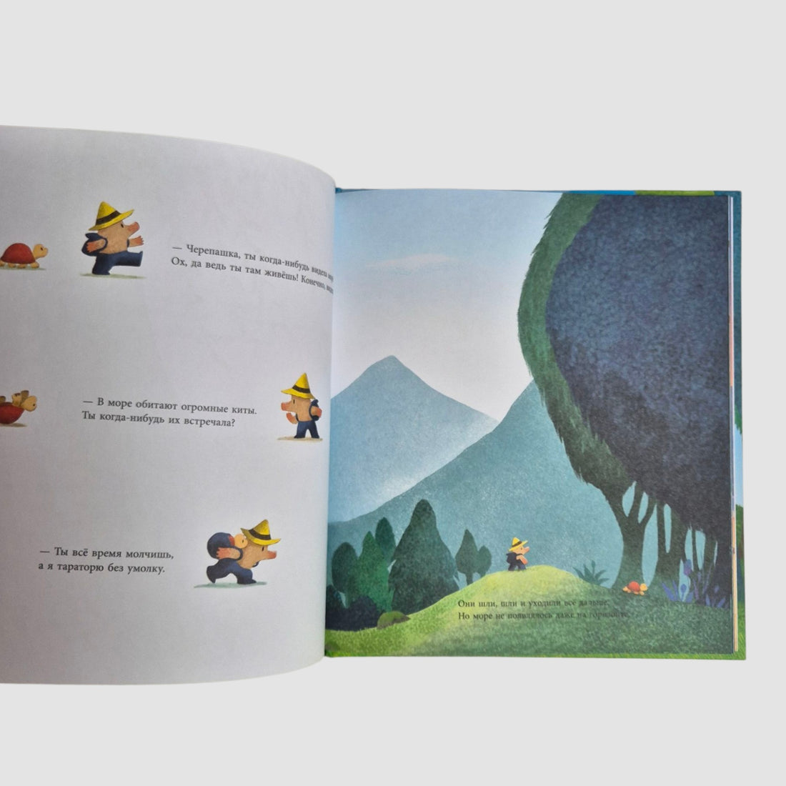 Mole's Summer Adventure