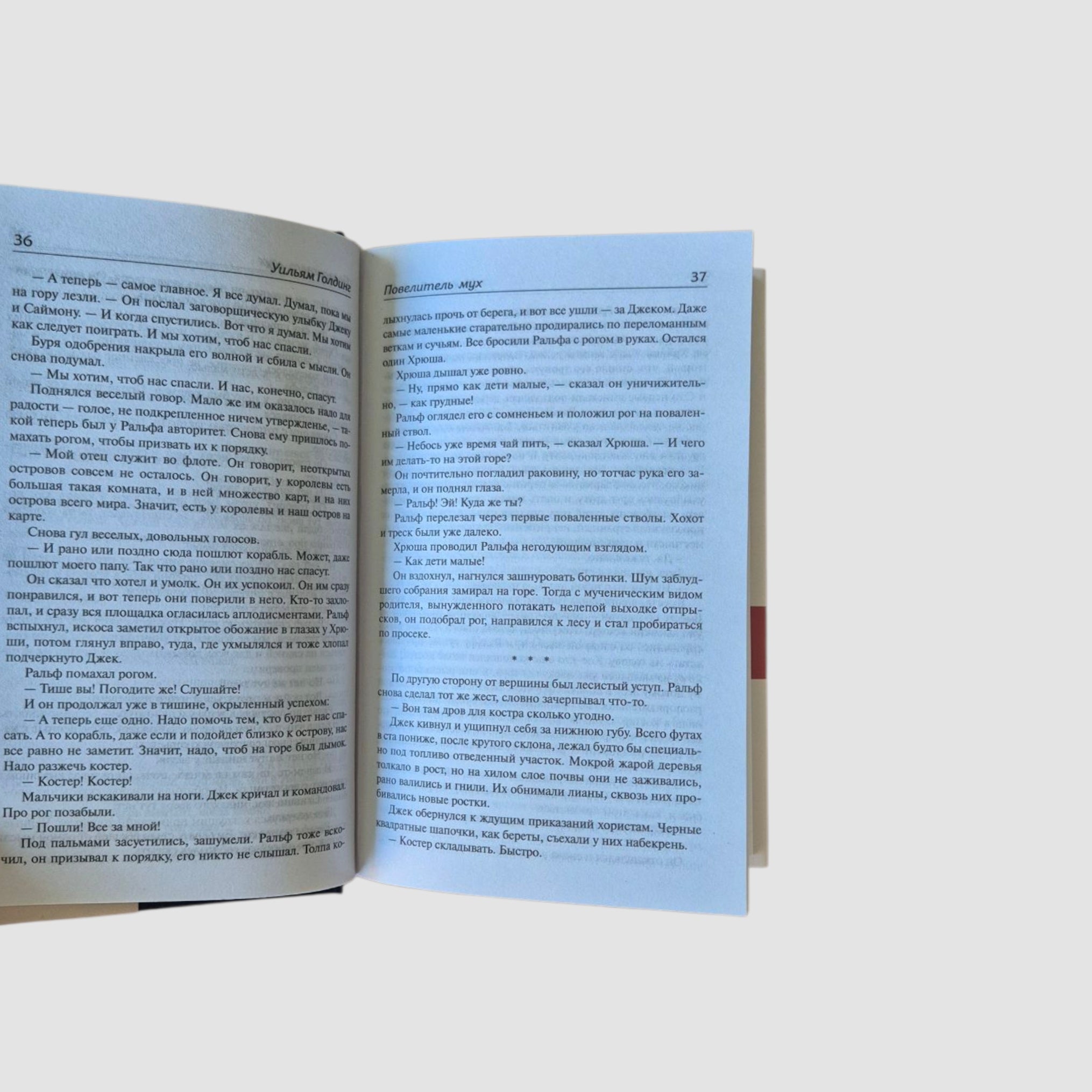 Повелитель мух; Наследники; Воришка Мартин