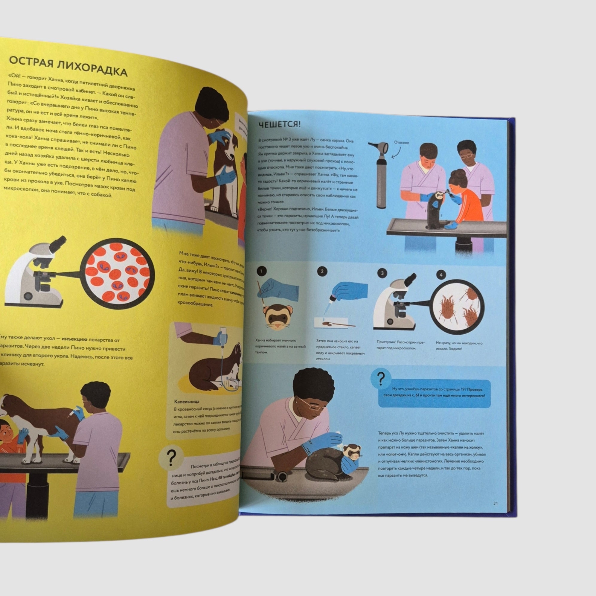 У ветеринара: как устроена медицина для животных