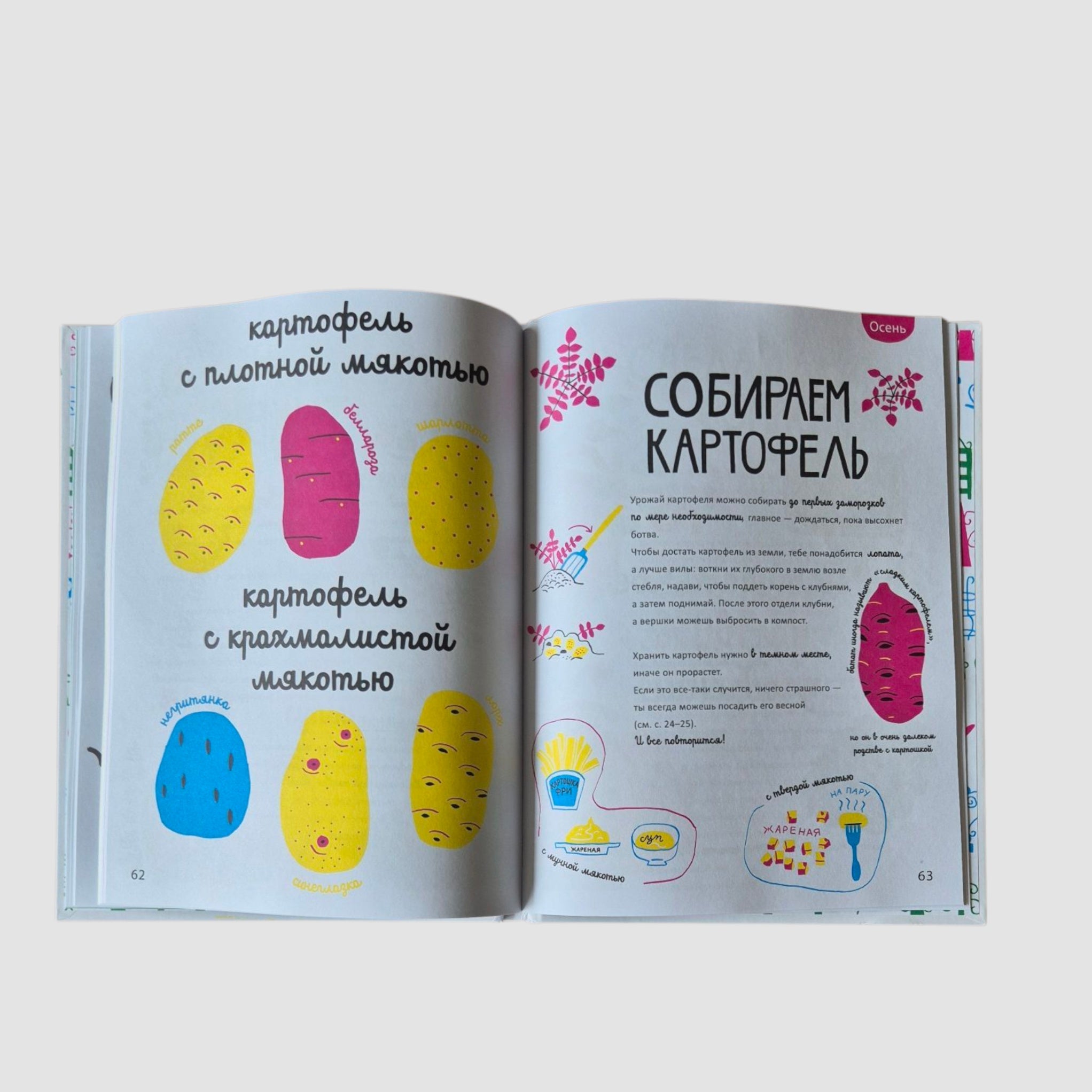 Белая книга садоводства для детей