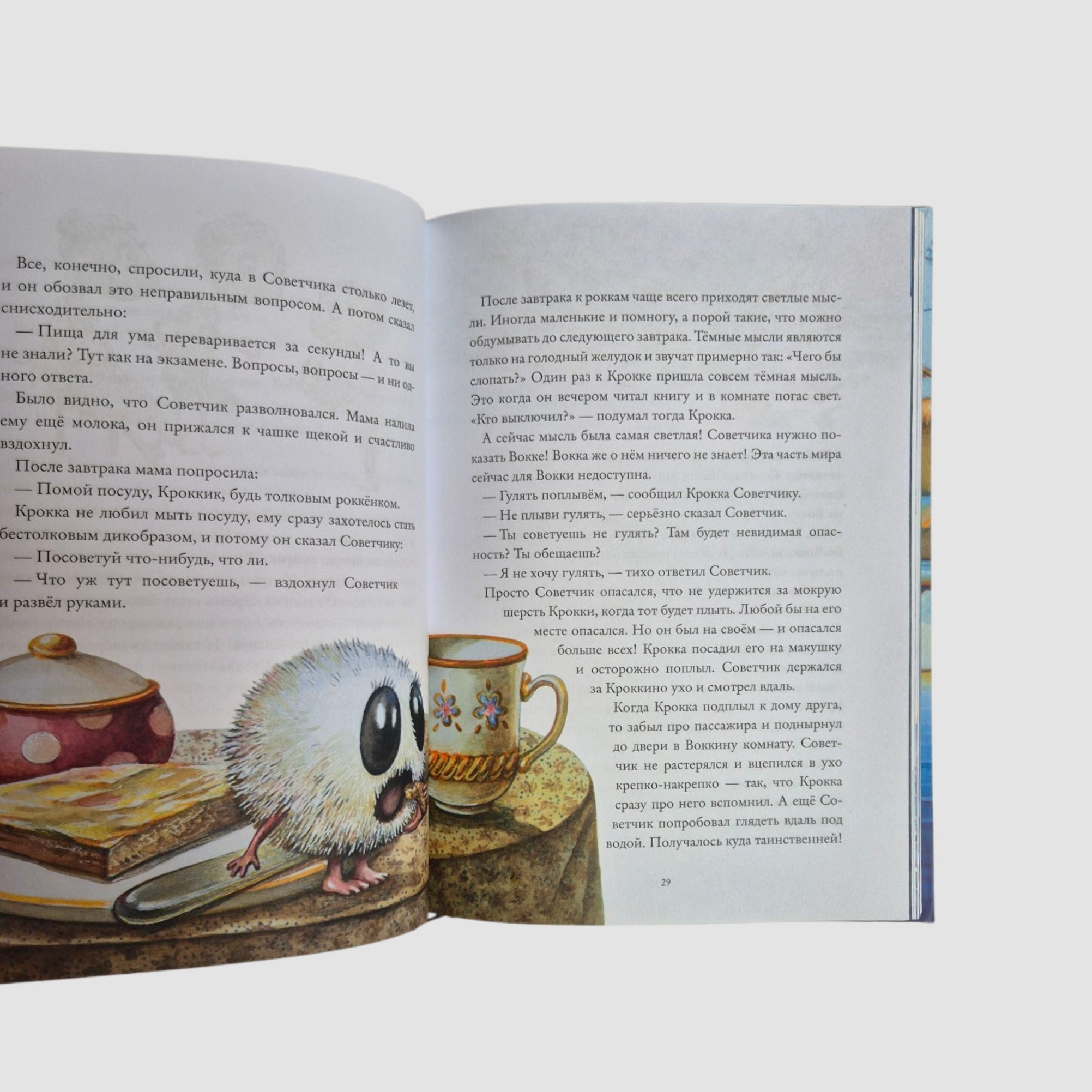 Здесь живут рокки