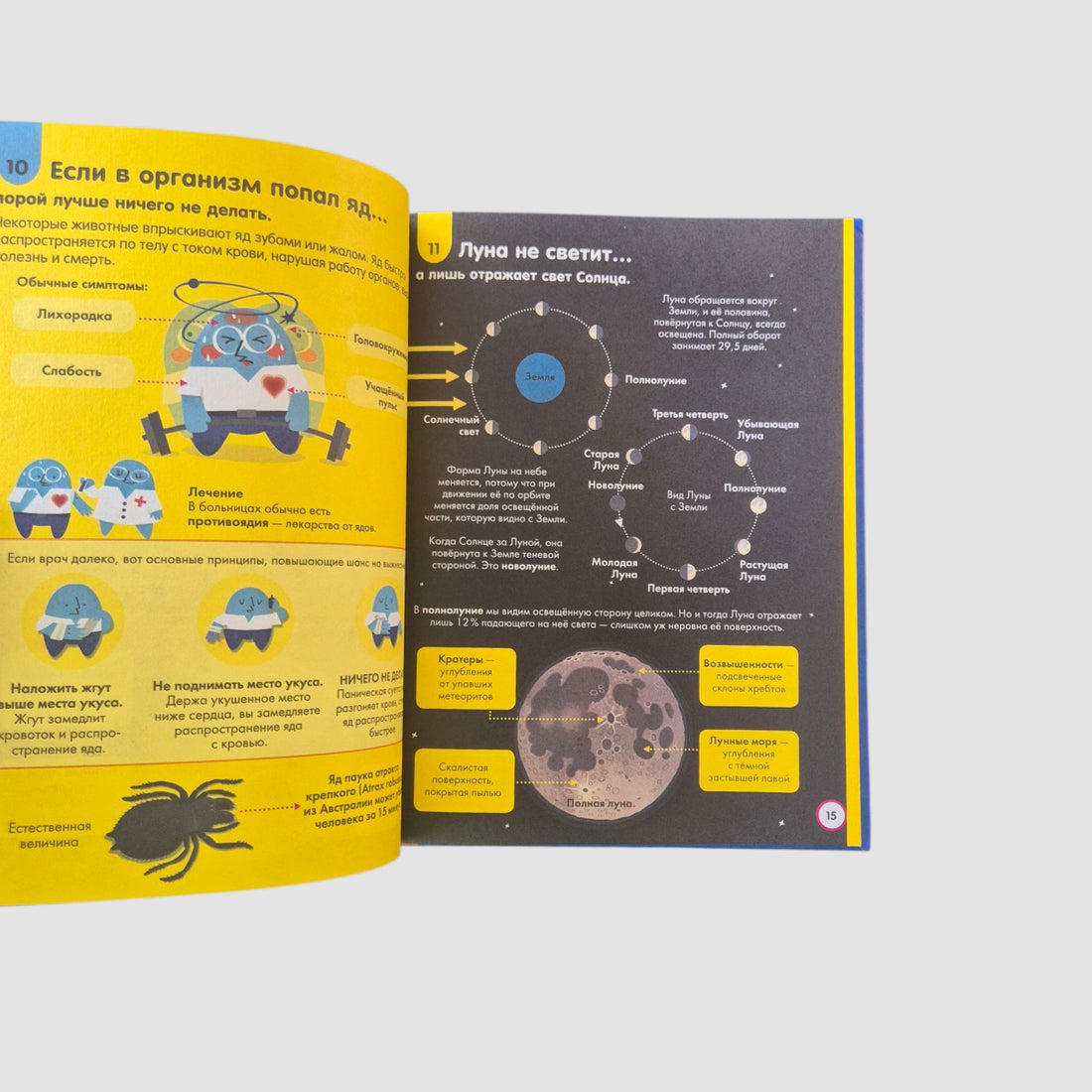 100 любопытных почему о науке