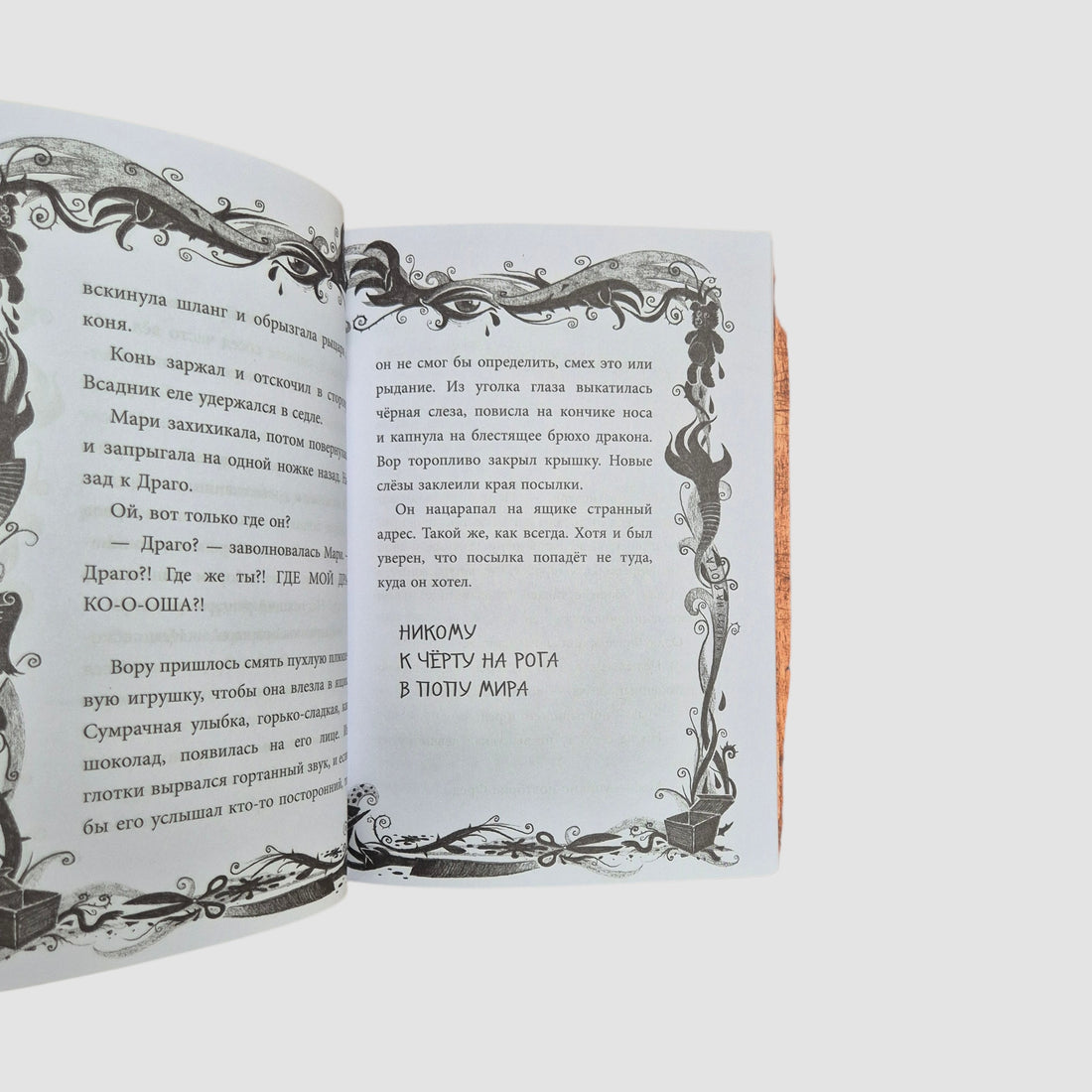 Не открывать! Плюется огнем! (4)