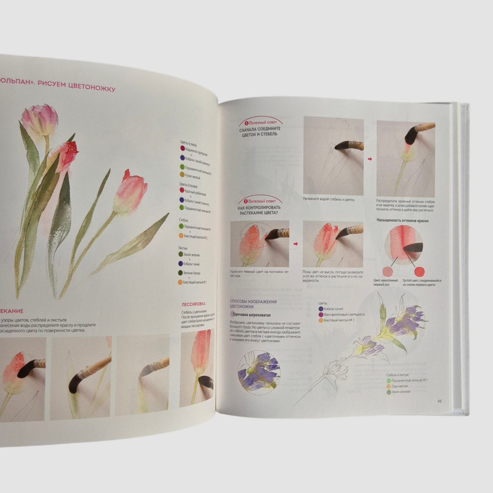 Цветы японской акварелью. Рисуем розы, тюльпаны, гортензии и сухоцветы