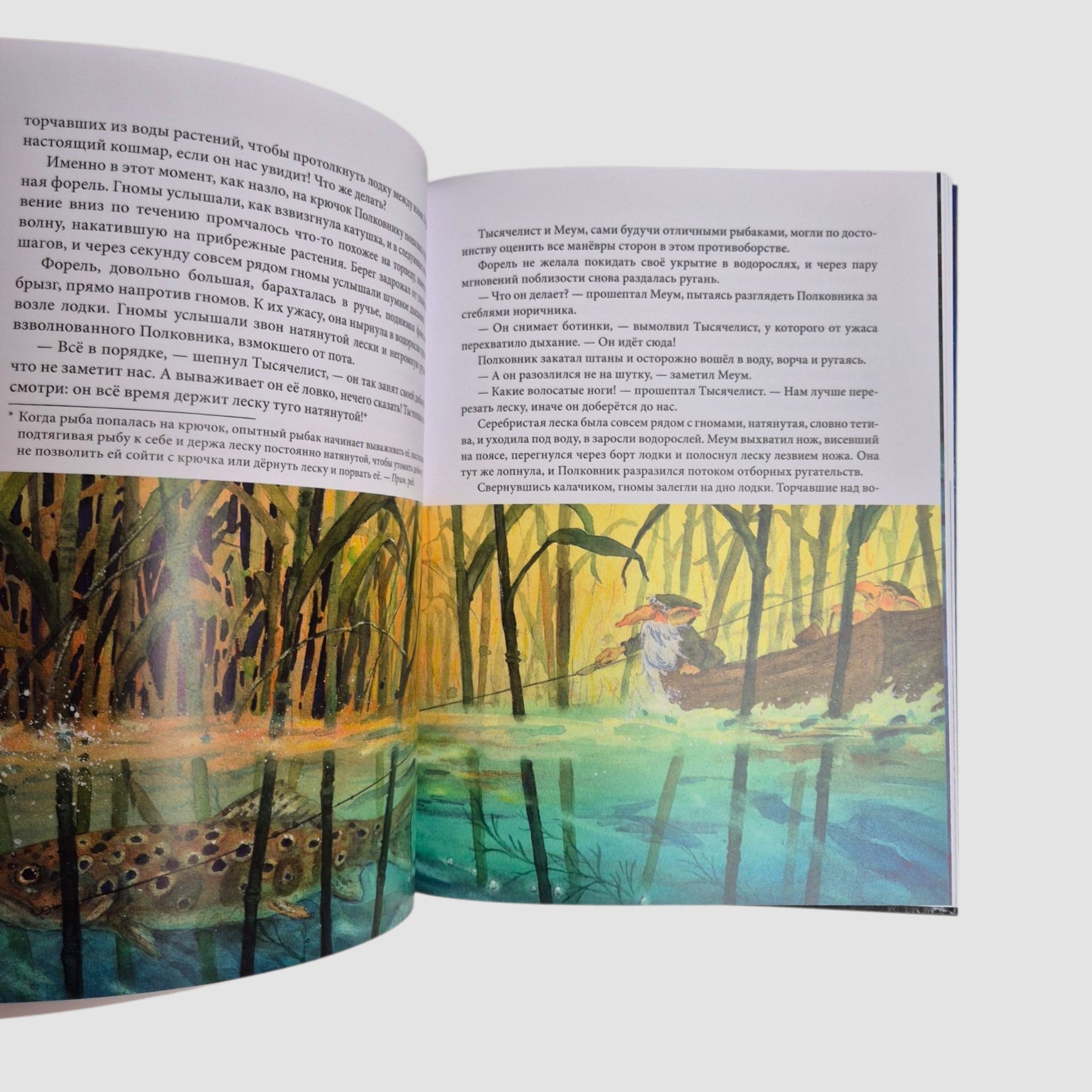 Вверх по Причуди и обратно. Удивительные приключения трех гномов