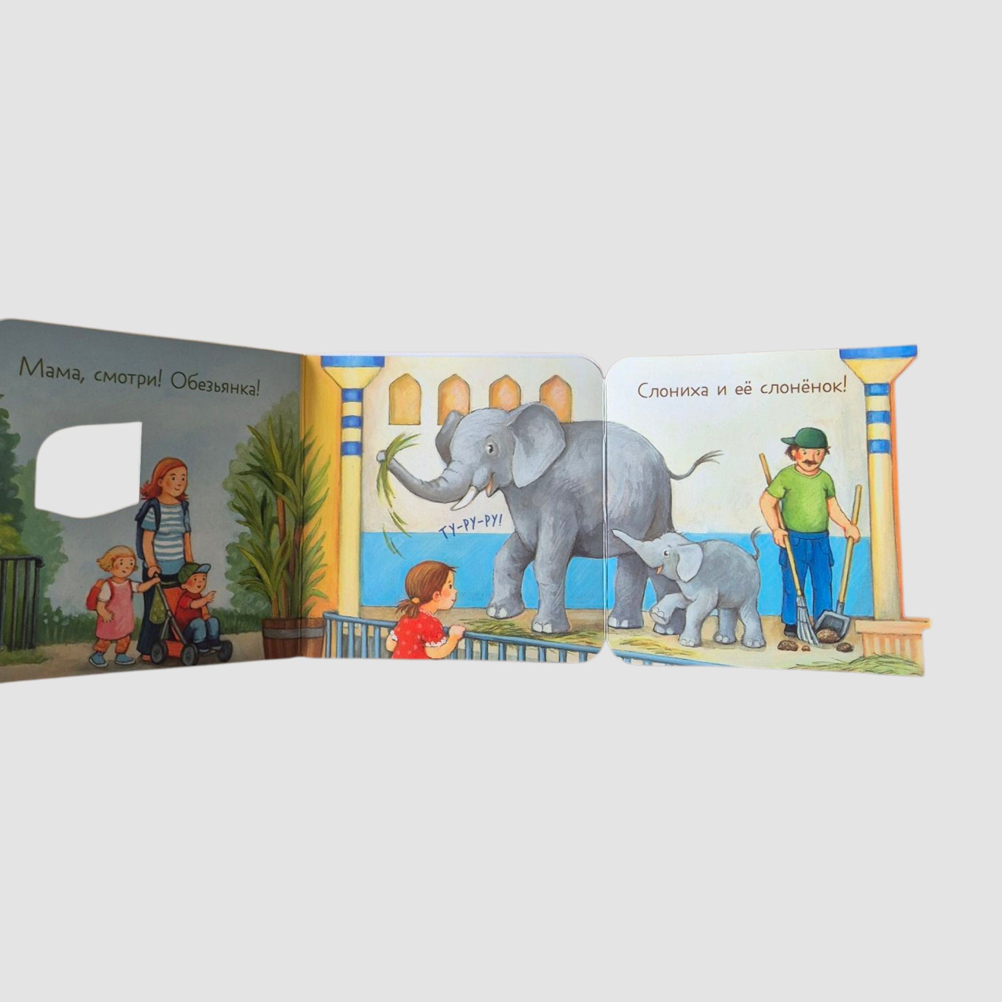 Ку-ку! Кто в зоопарке?