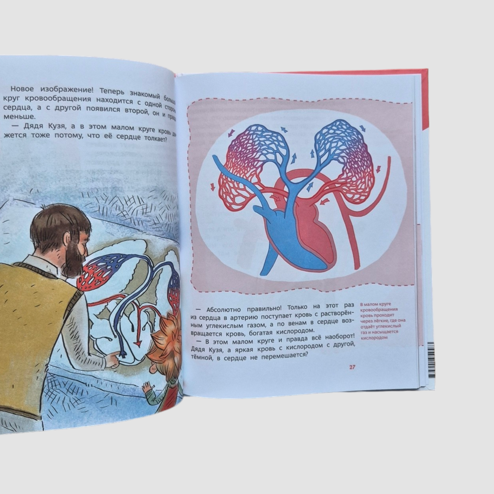 How a person is made. Children's encyclopedia (Chevostik)