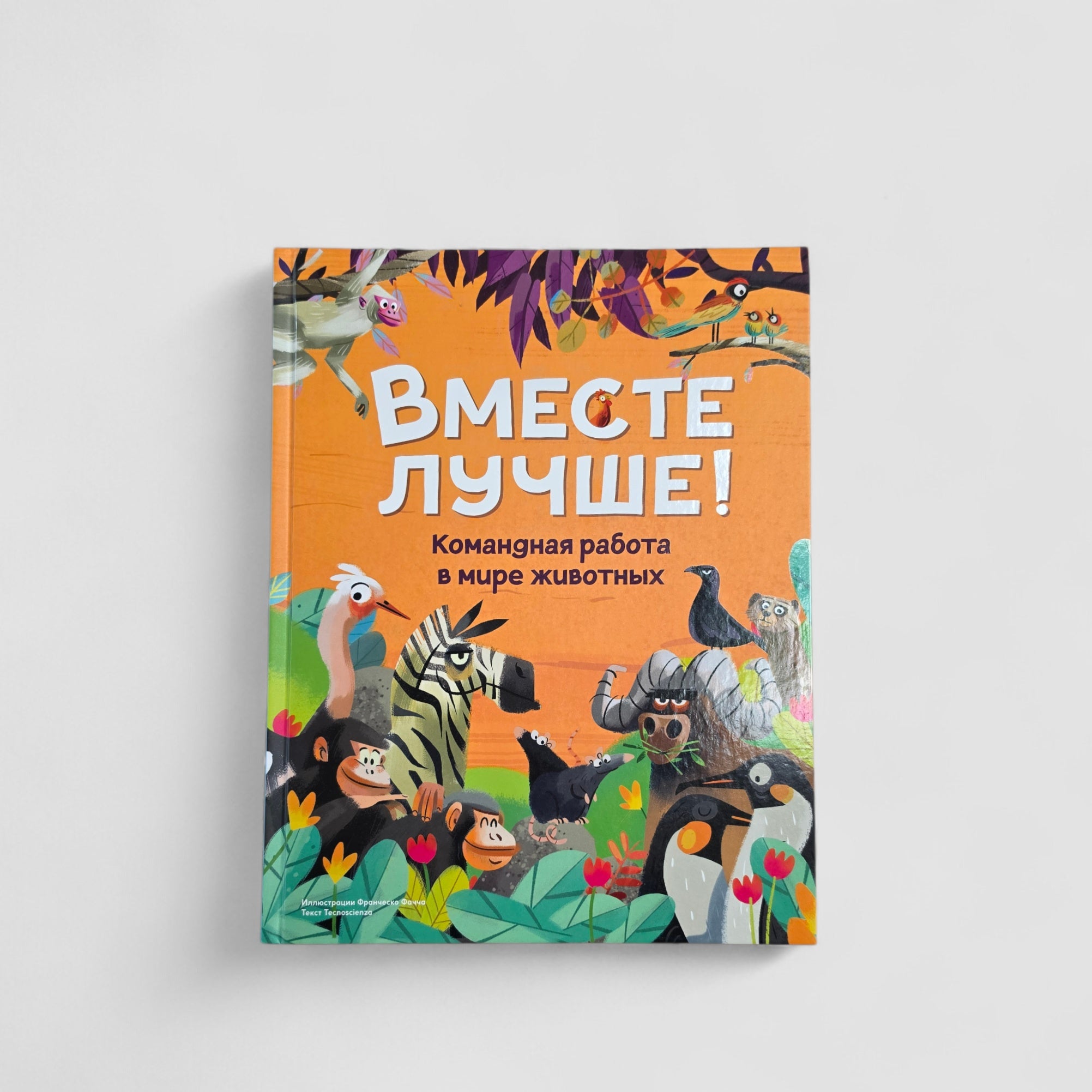 Вместе лучше! Командная работа в мире животных