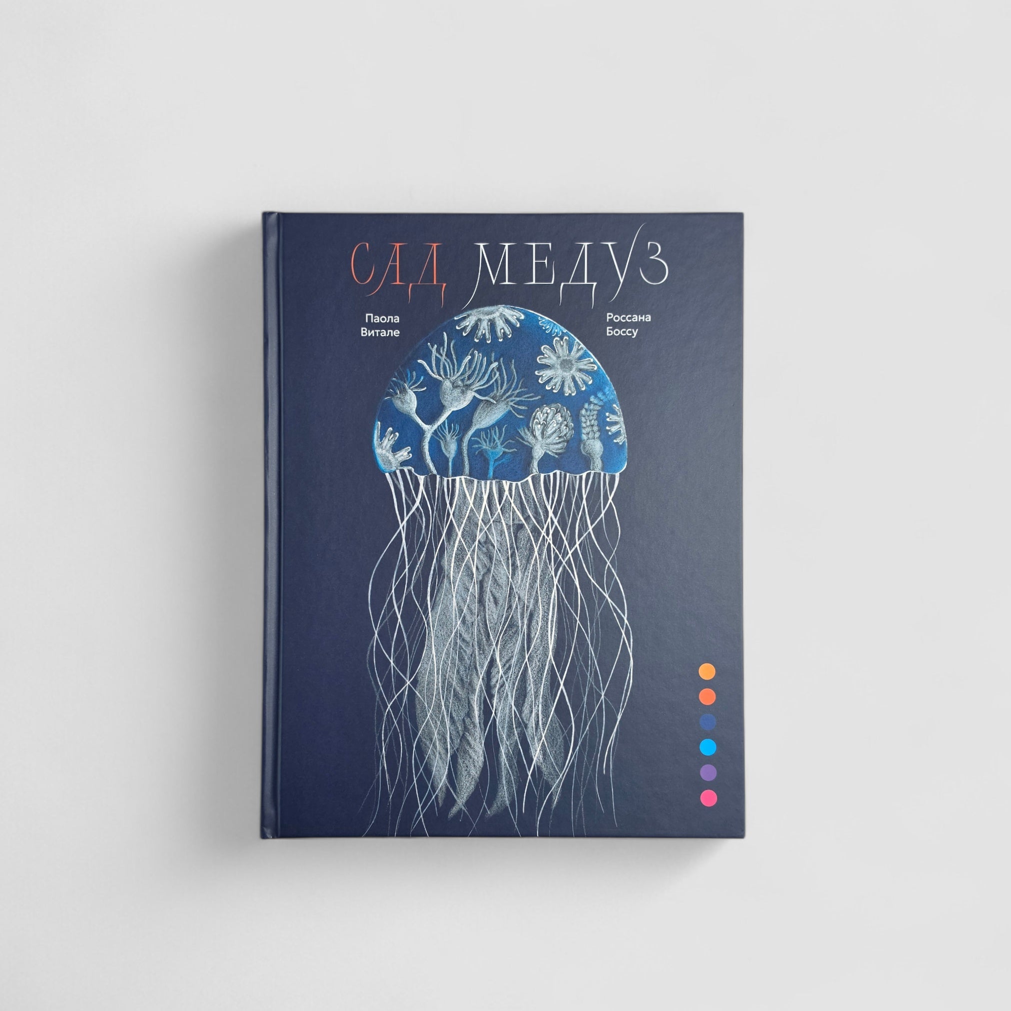 Сад медуз