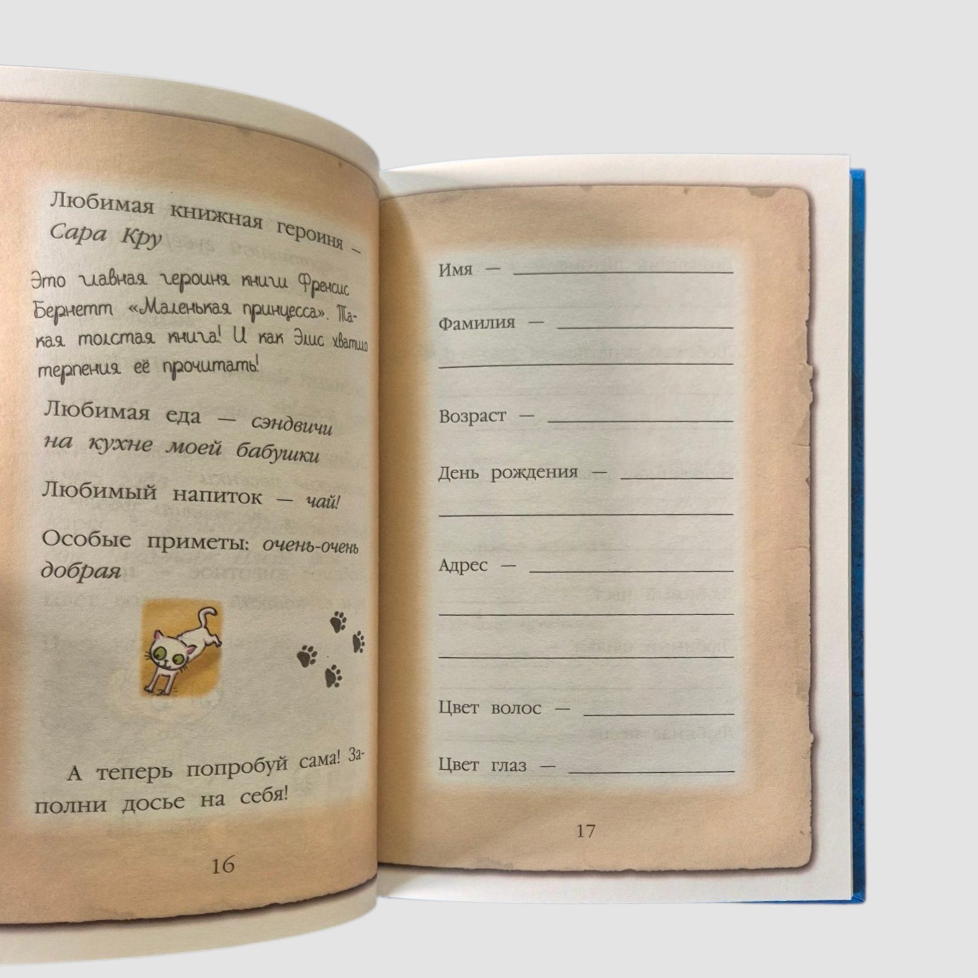 Мейзи Хитчинс. Дневник девочки-детектива