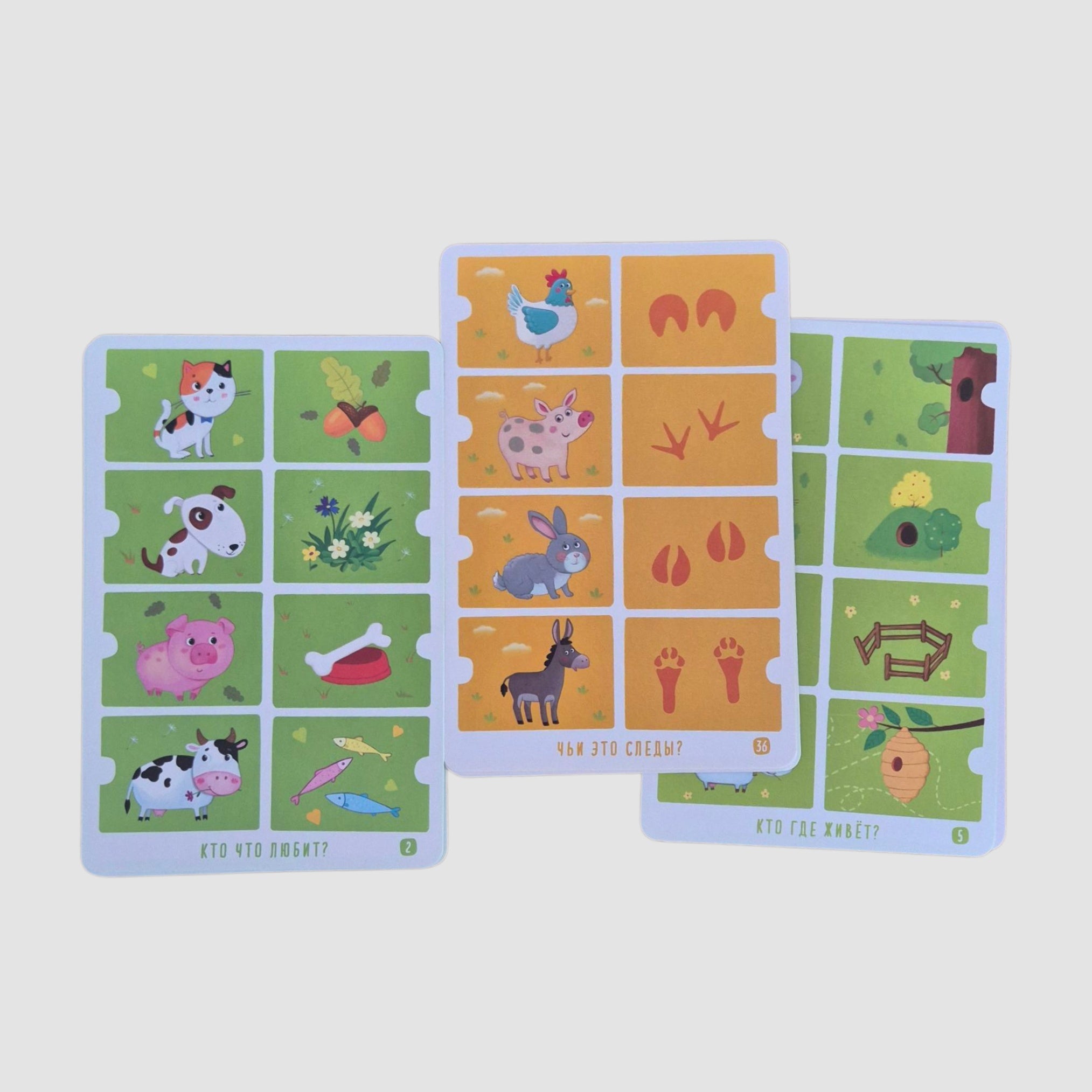 IQ развивашки. Задачки про зверят в папке 4+