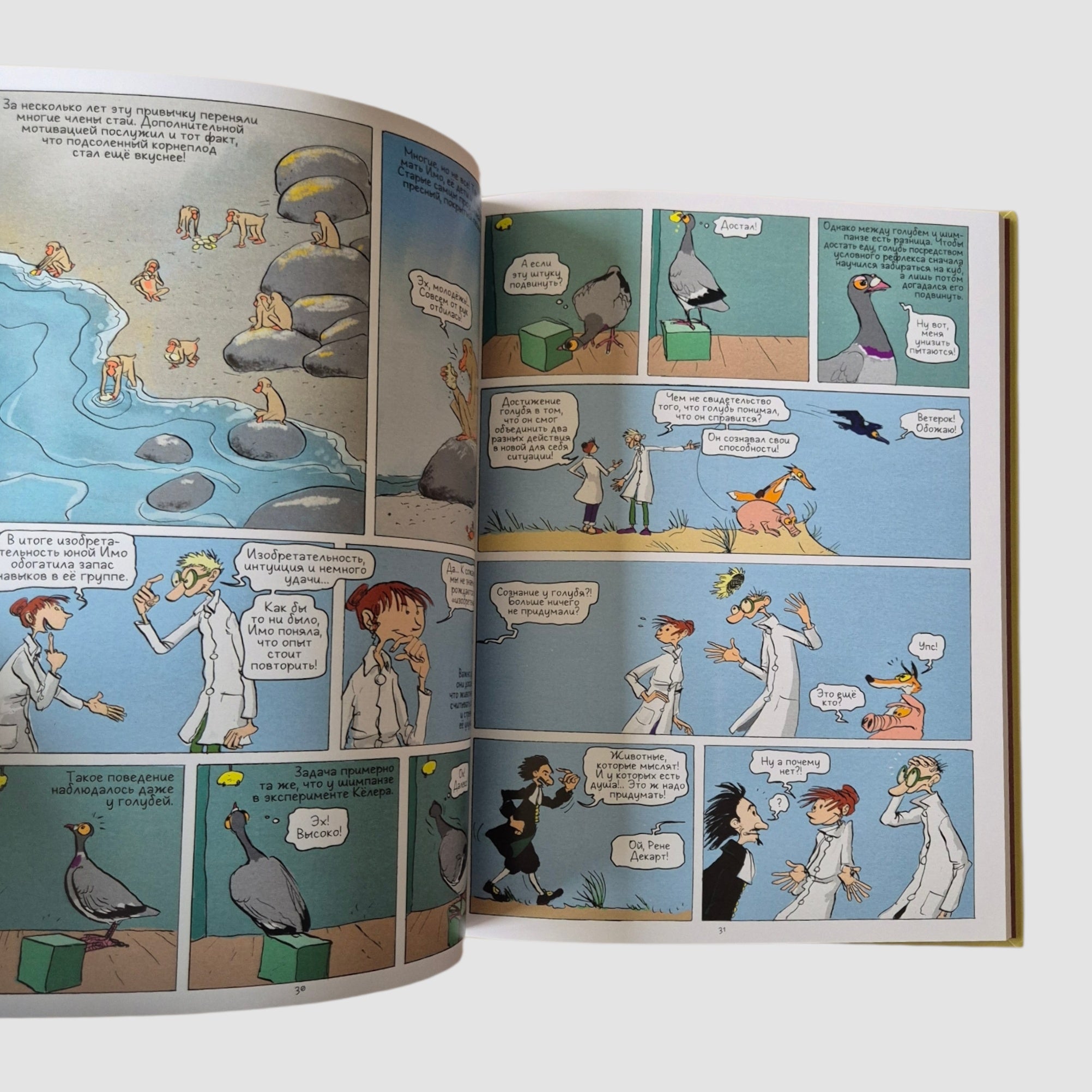 Самое умное животное на Земле