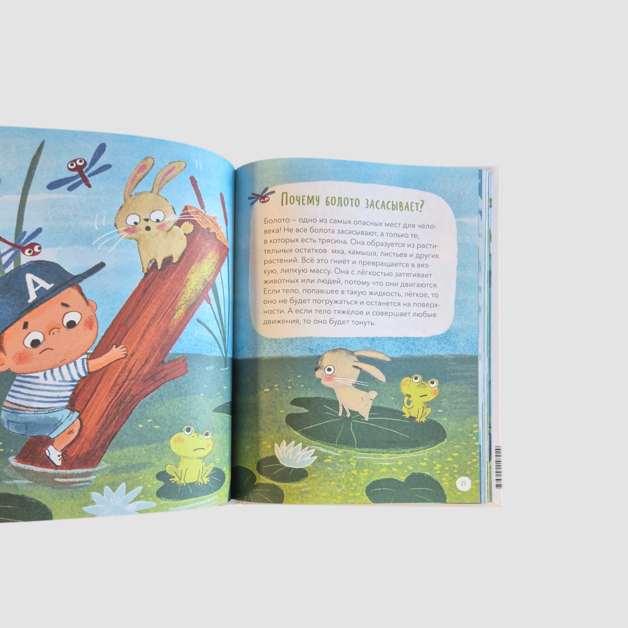 What, Where and Why? The Most Interesting Children's Questions About the World Around Us