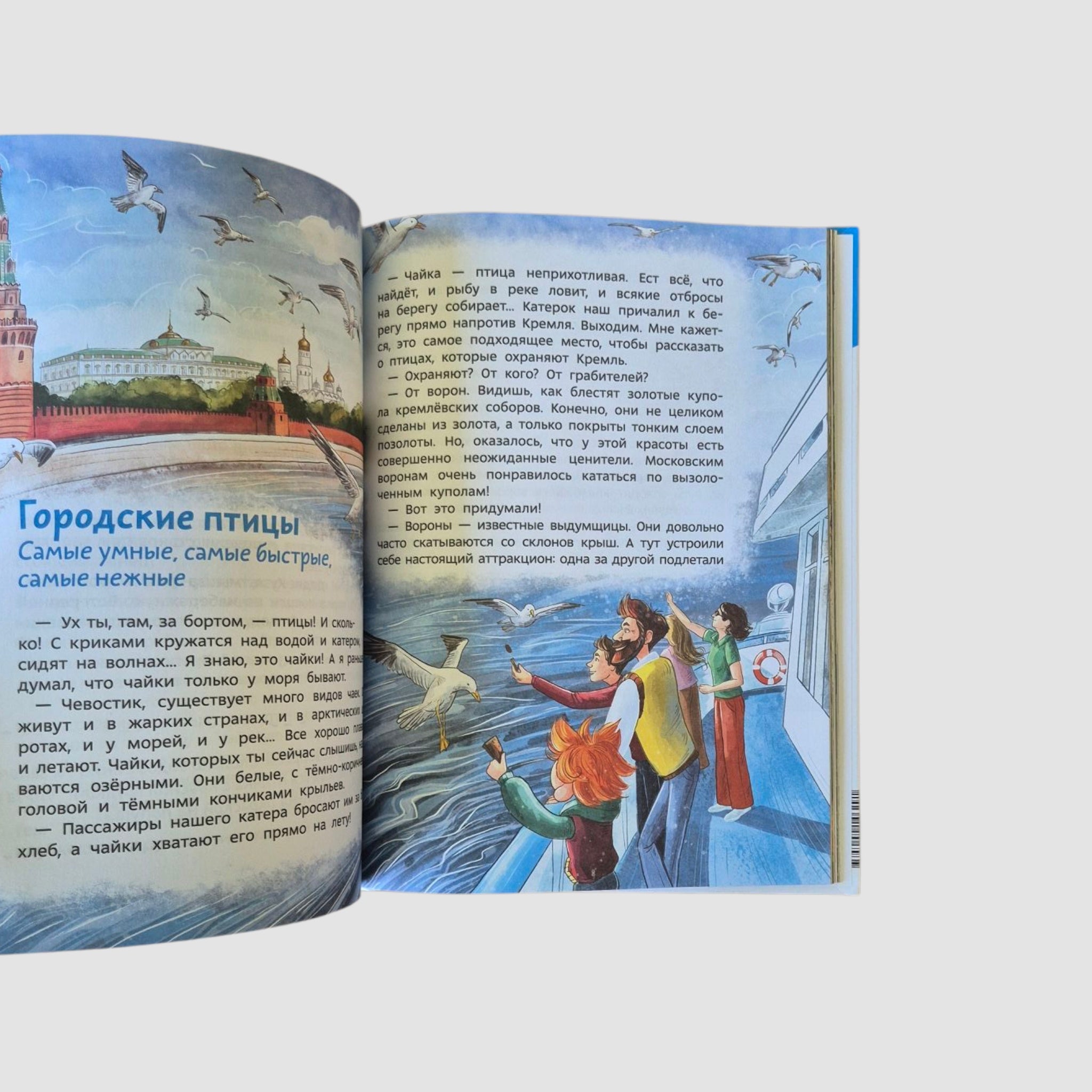 Птицы. Детская энциклопедия (Чевостик)