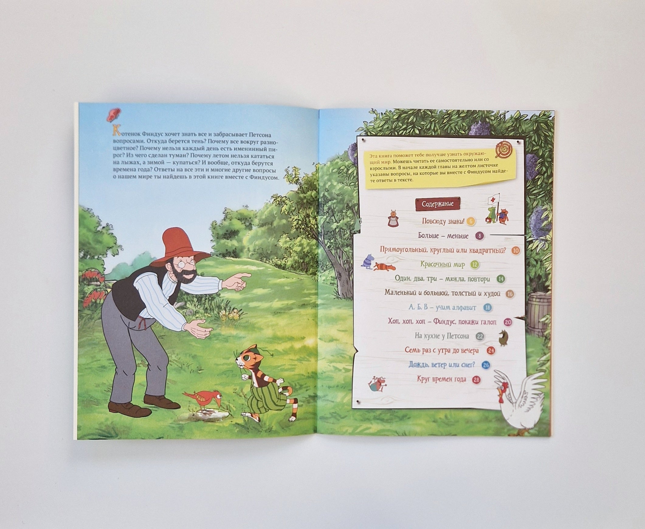 Петсон и Финдус познают мир