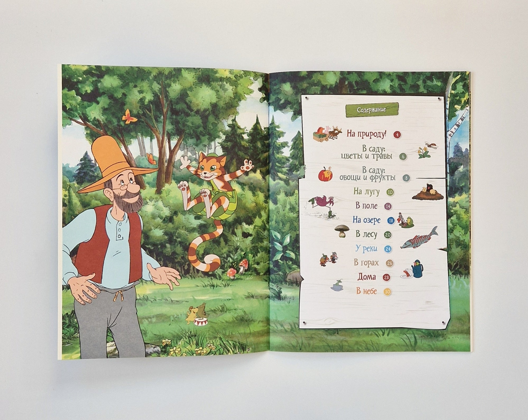 Петсон и Финдус на природе