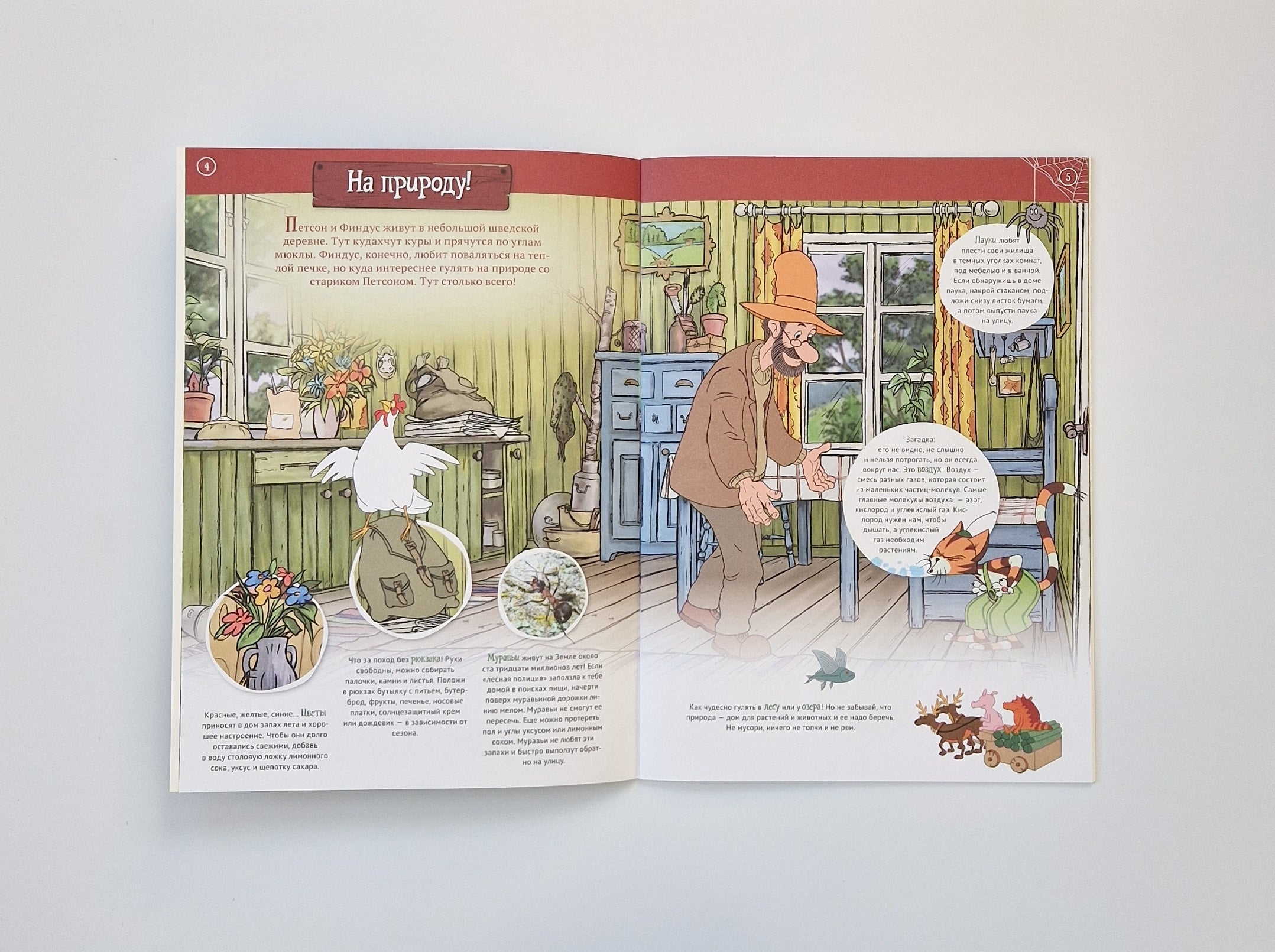 Петсон и Финдус на природе