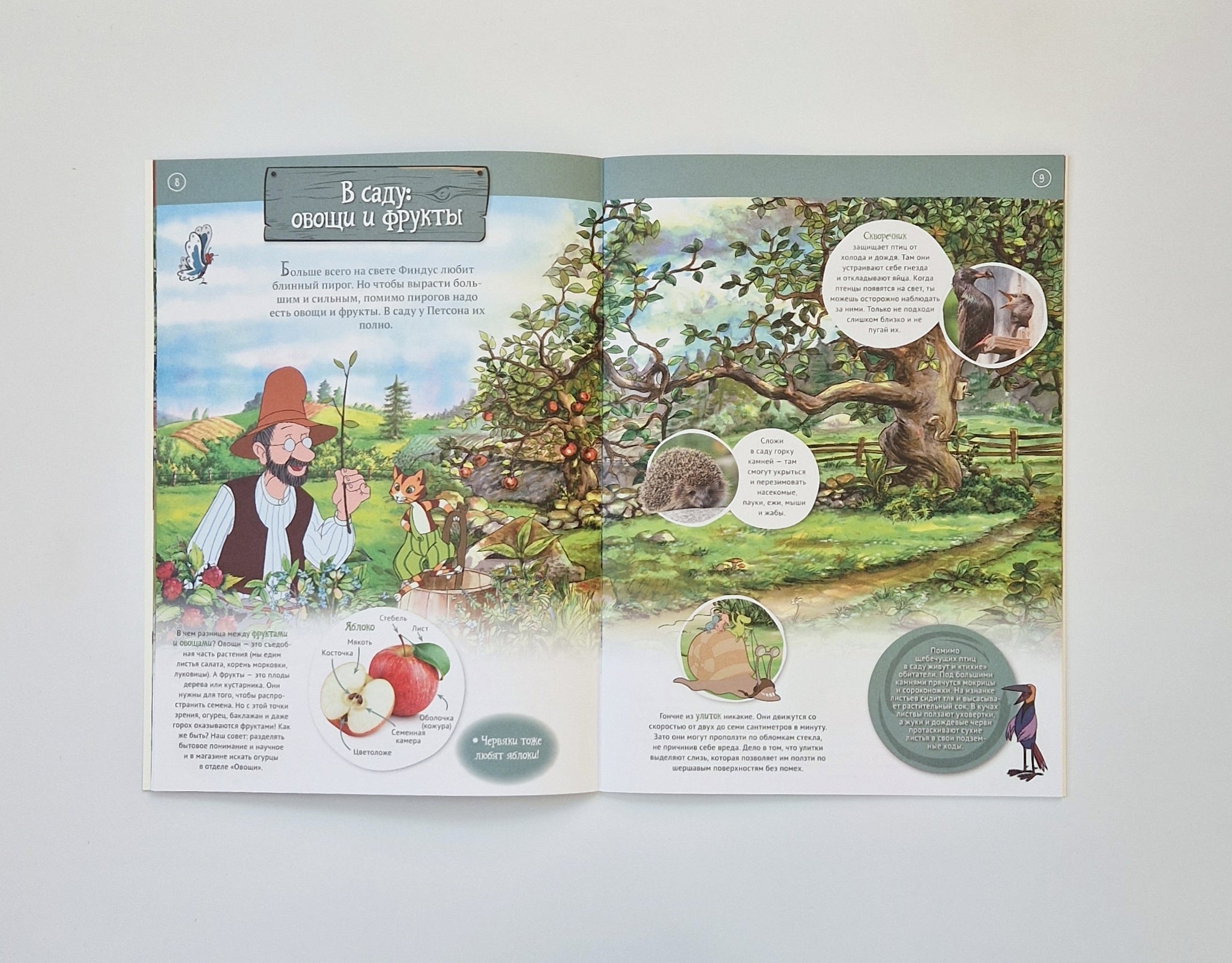 Петсон и Финдус на природе