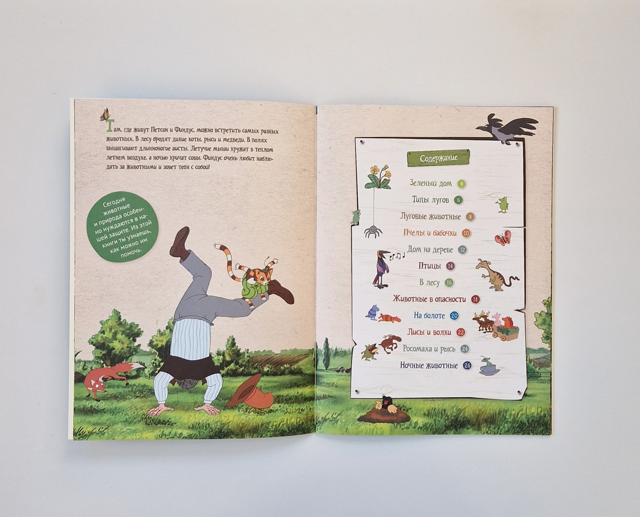 Петсон и Финдус изучают животных