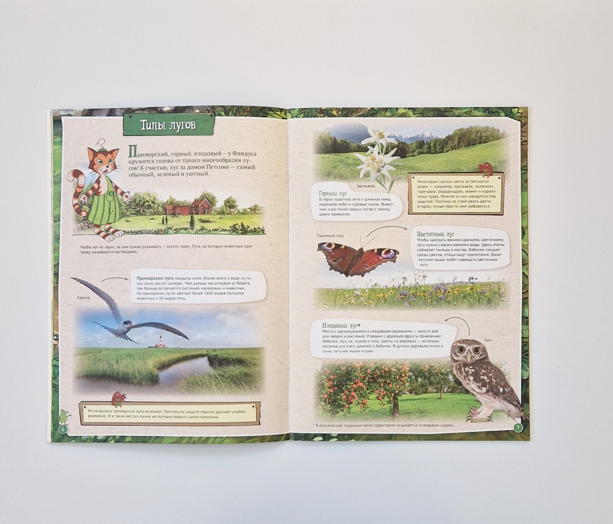 Петсон и Финдус изучают животных