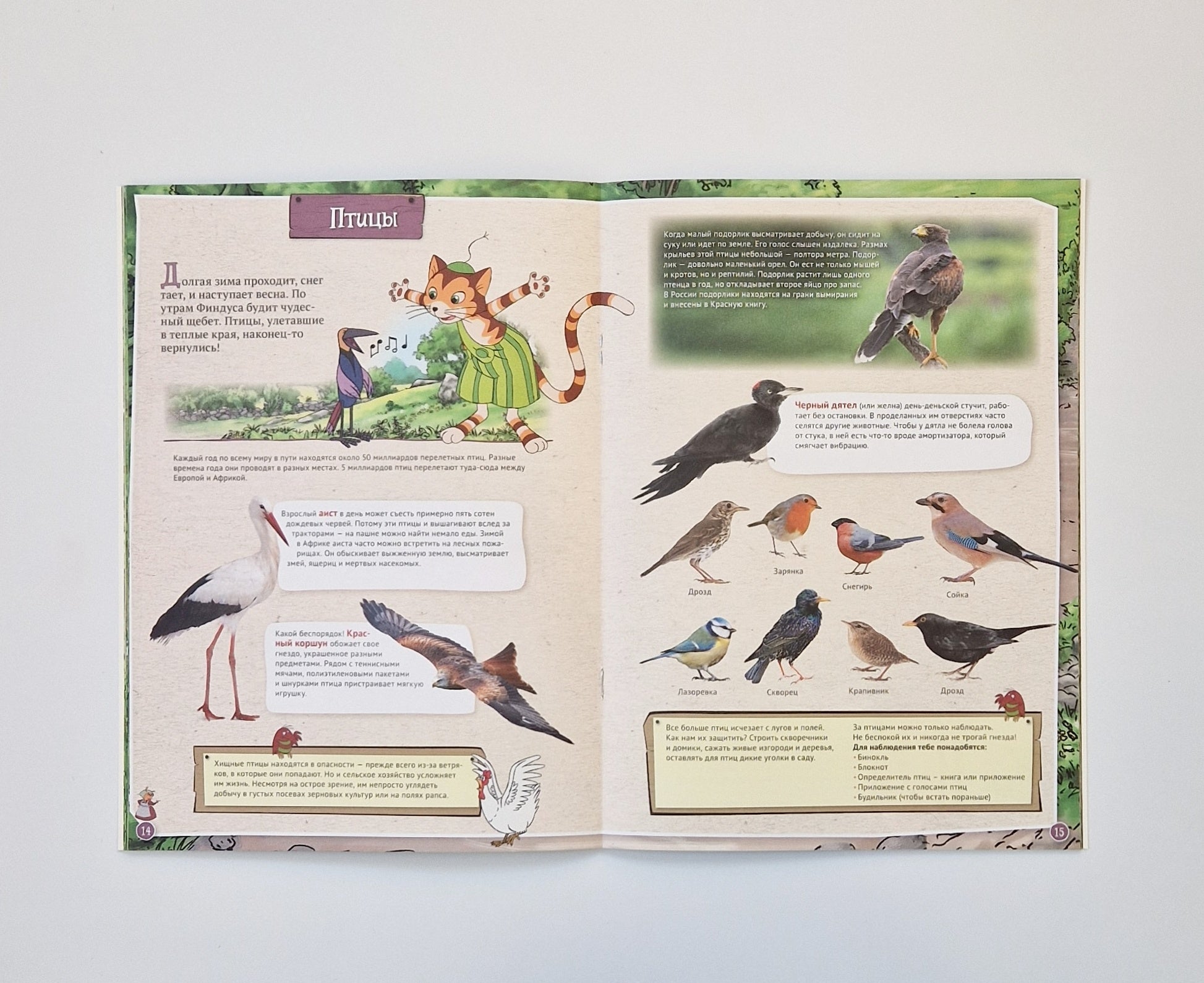 Петсон и Финдус изучают животных