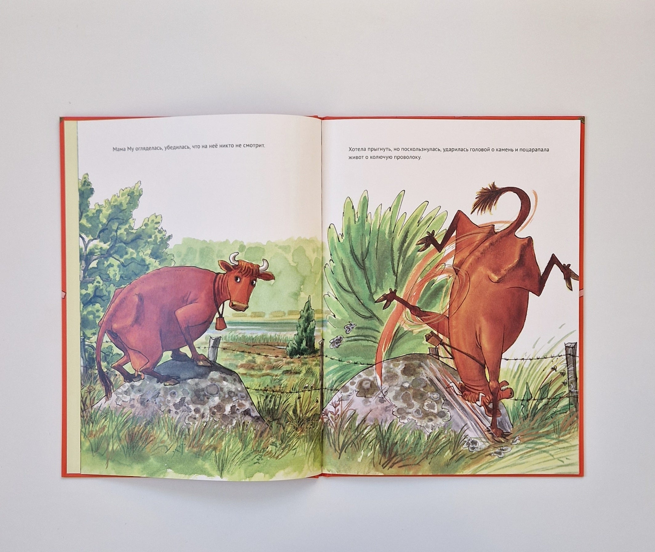 Мама Му поранилась