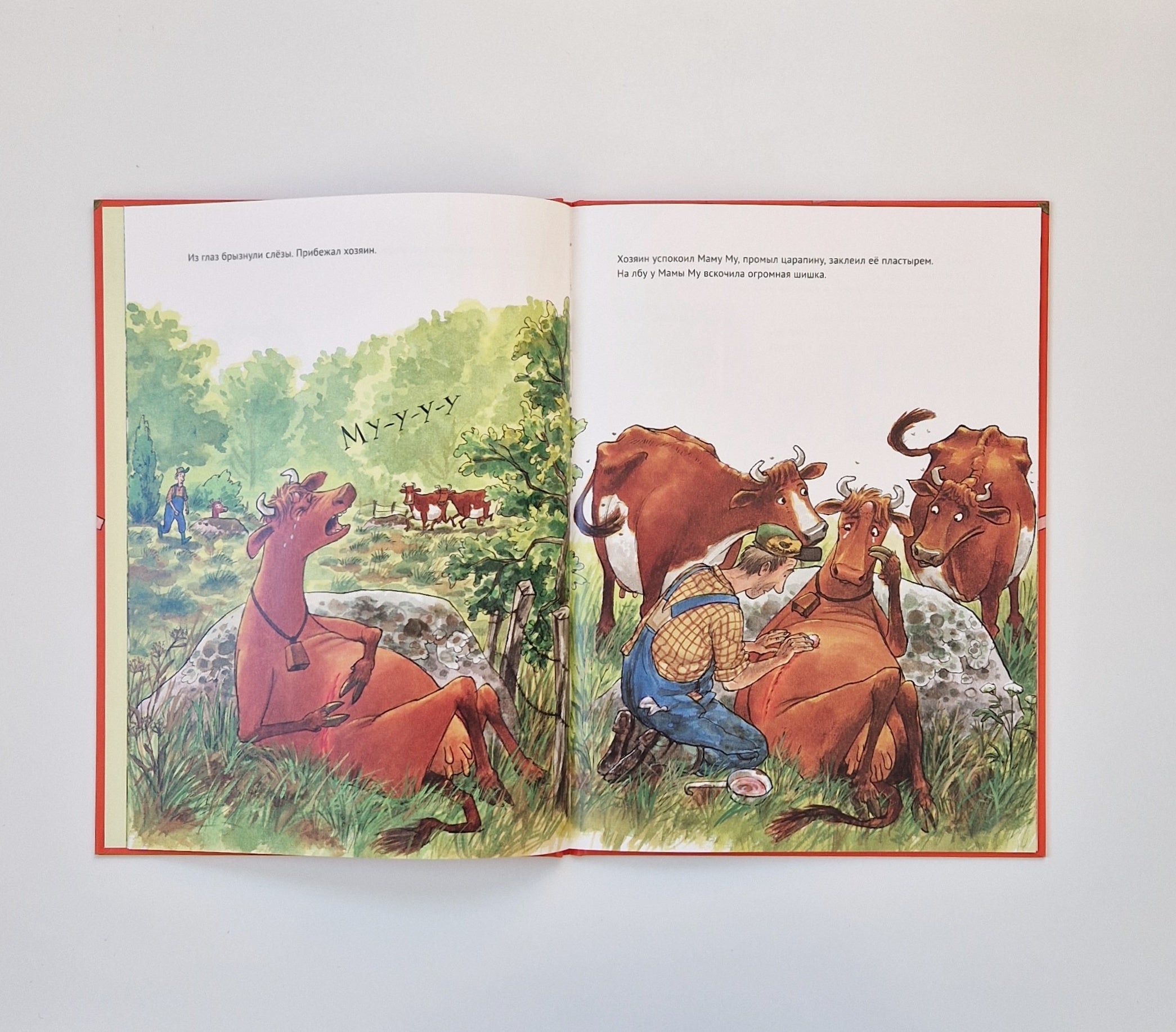 Мама Му поранилась