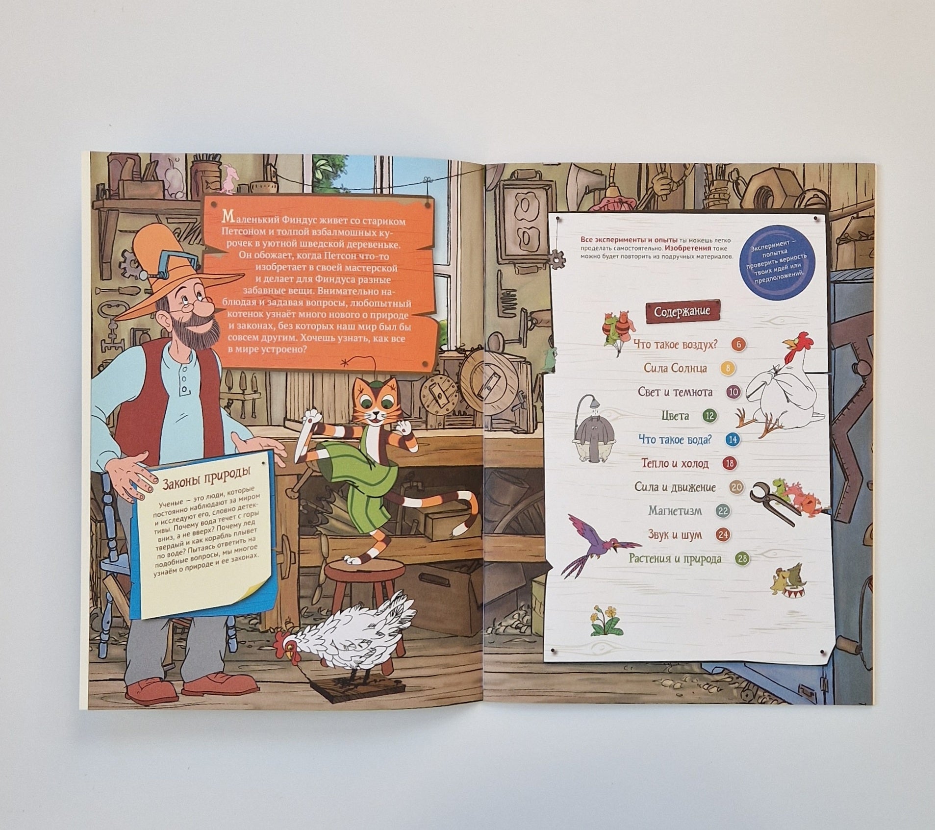 Петсон и Финдус. Эксперименты