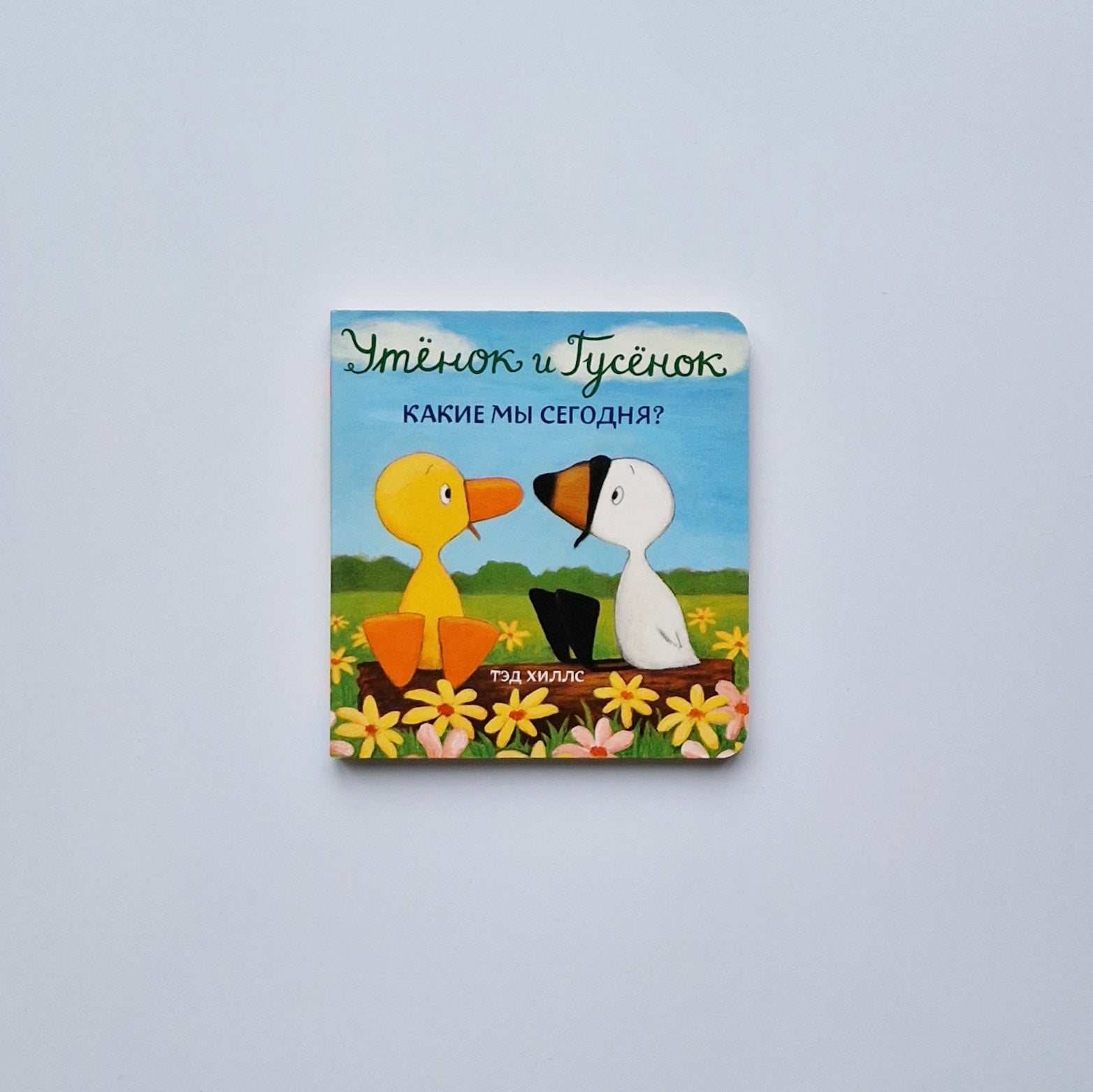 Утёнок и Гусёнок. Какие мы сегодня?