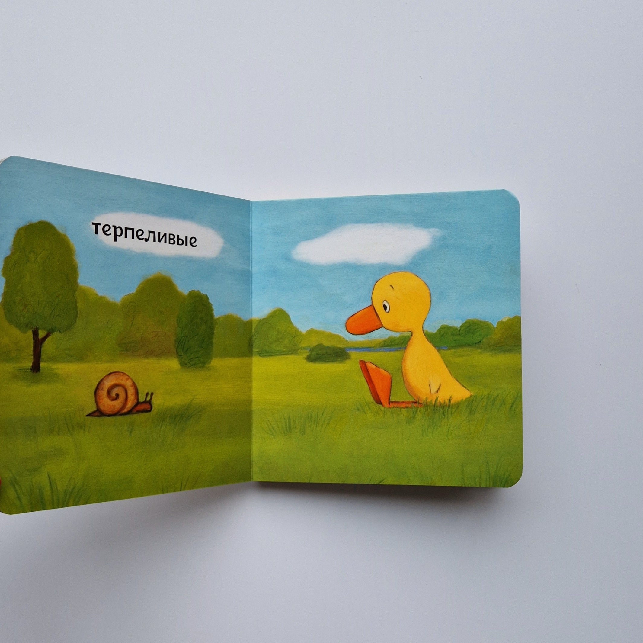 Утёнок и Гусёнок. Какие мы сегодня?