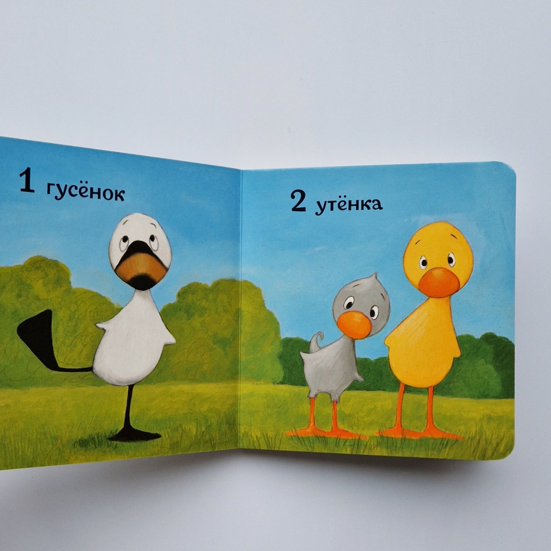 Утёнок и Гусёнок. 1, 2, 3