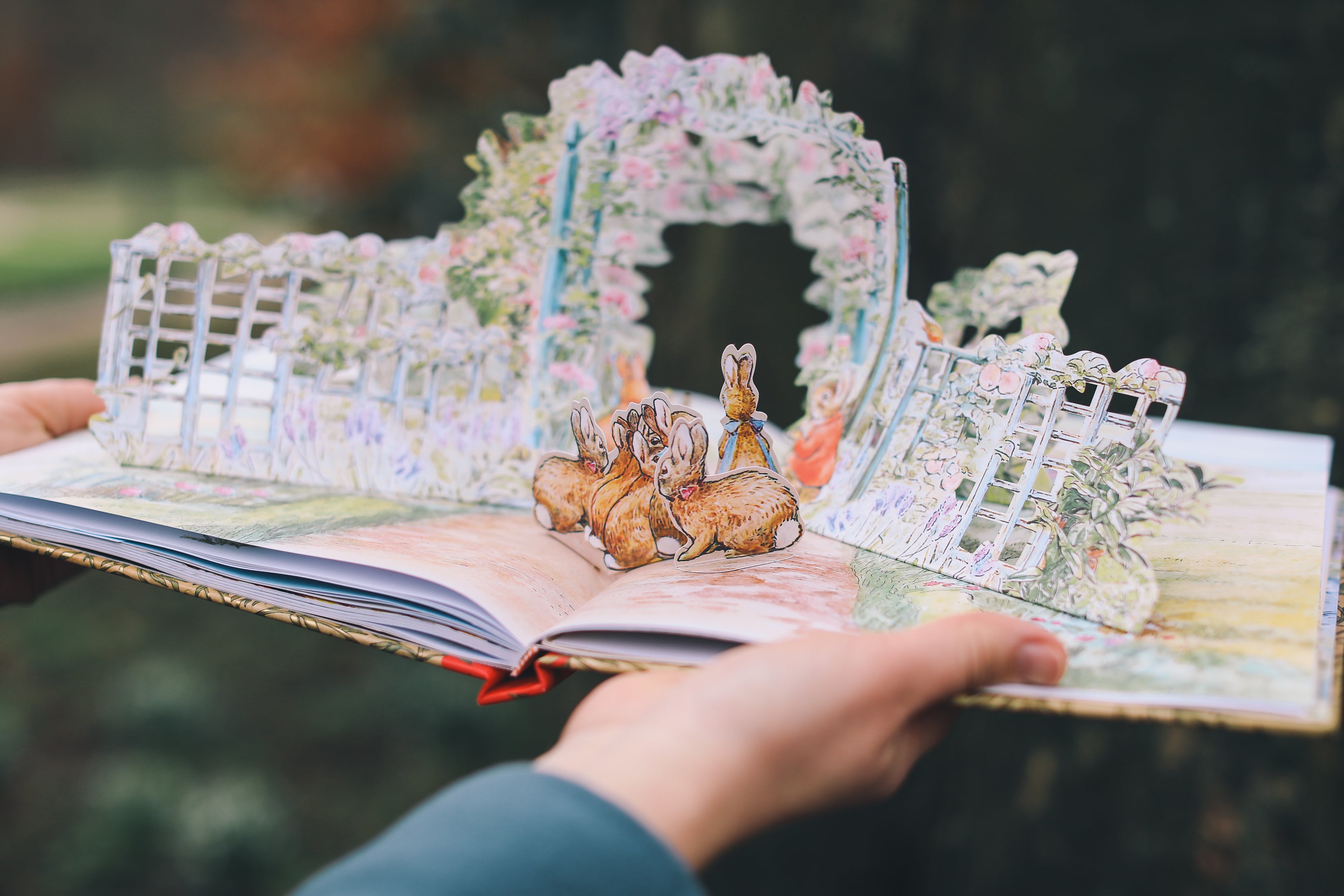 Все о Кролике Питере