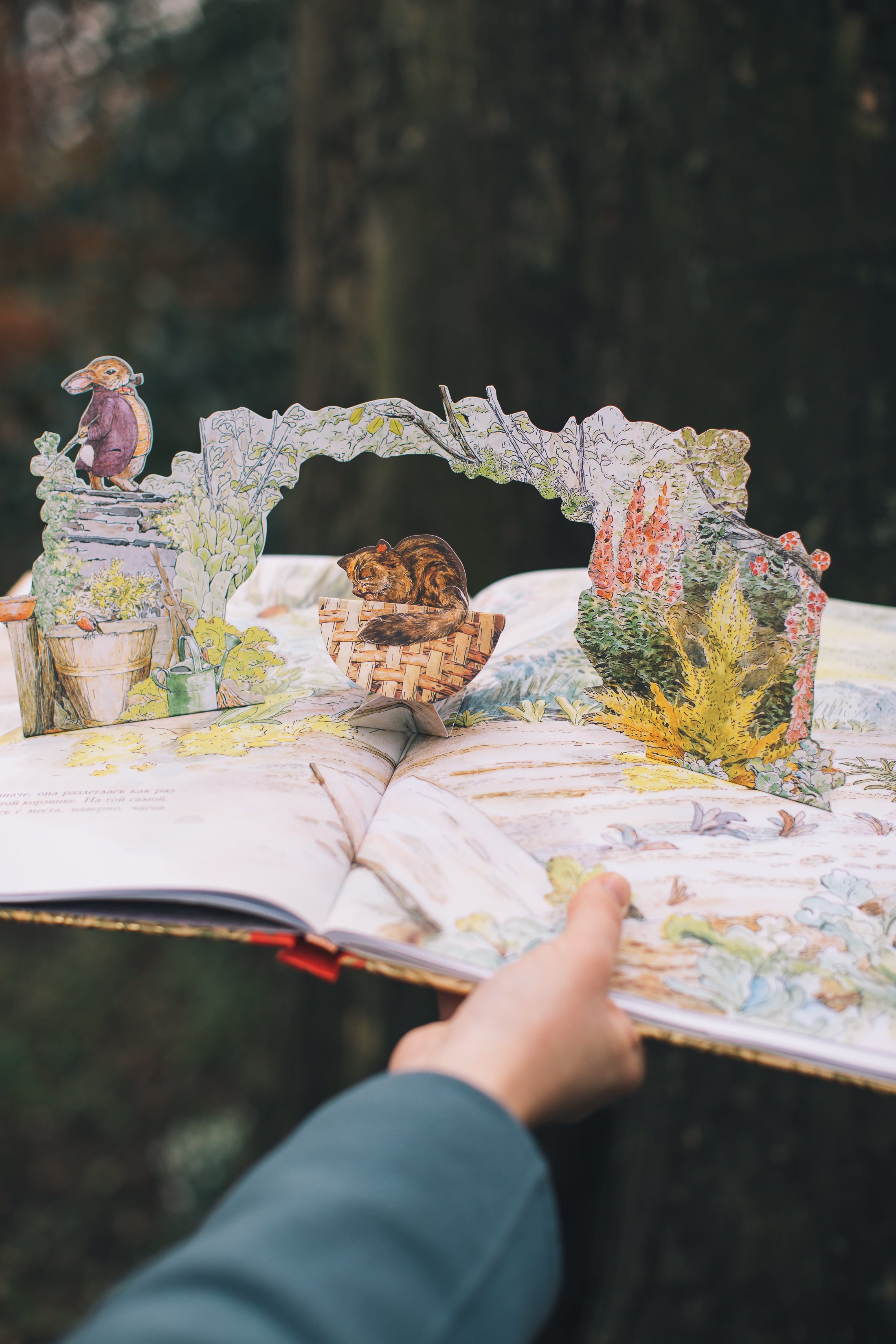 Все о Кролике Питере