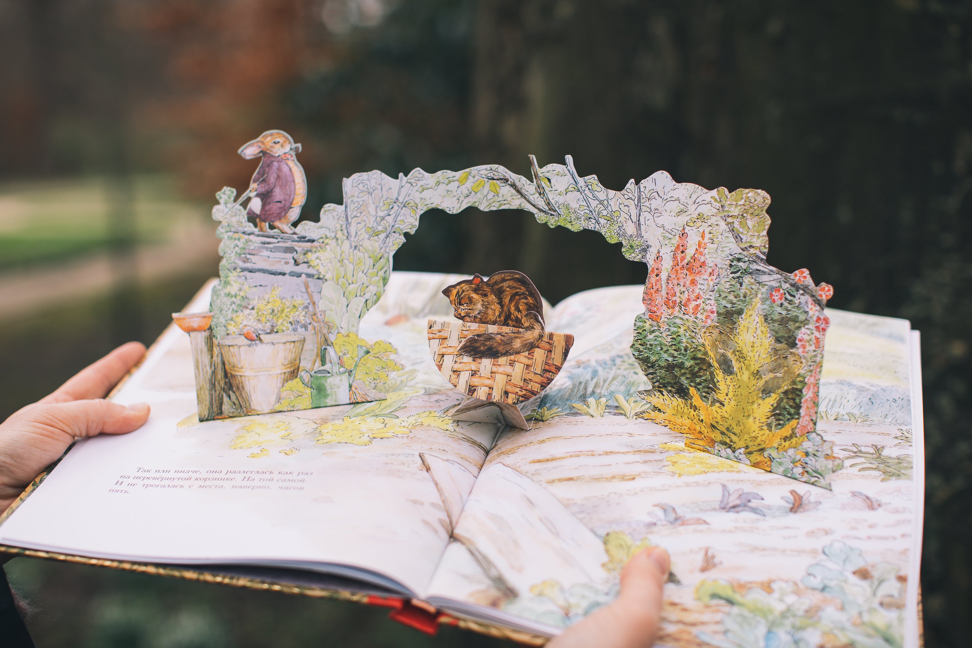 Все о Кролике Питере