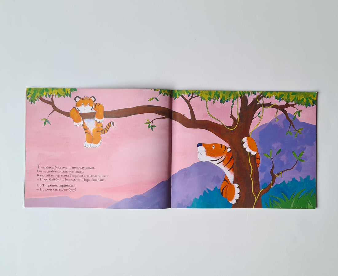 I Don't Want to Sleep! (Paperback)