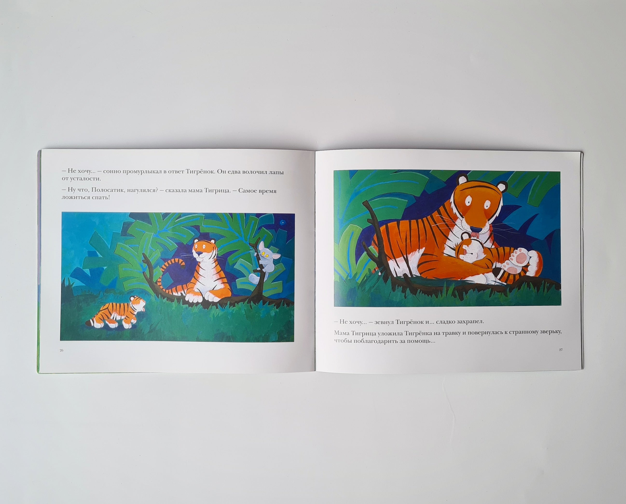 I Don't Want to Sleep! (Paperback)