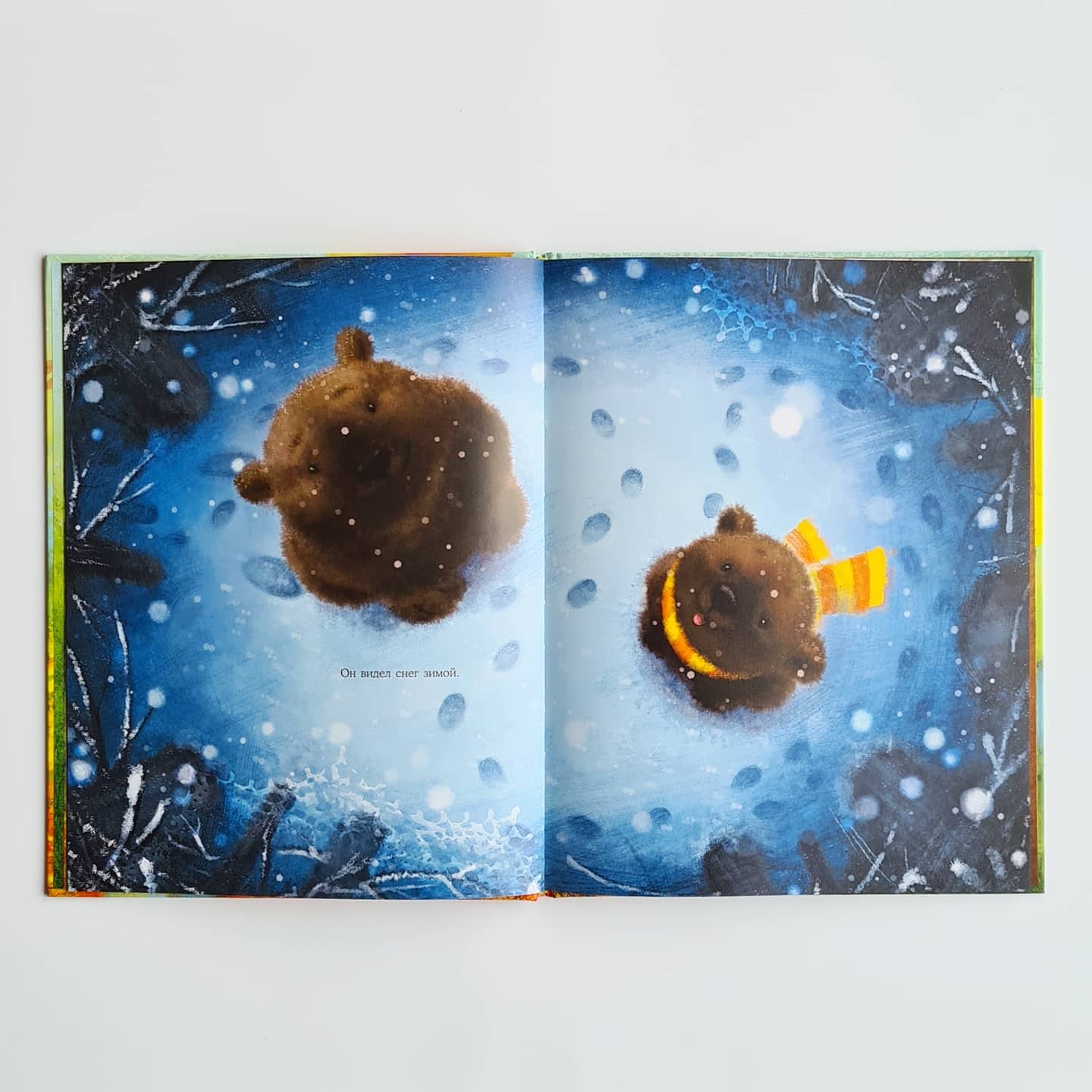 Осень медвежонка