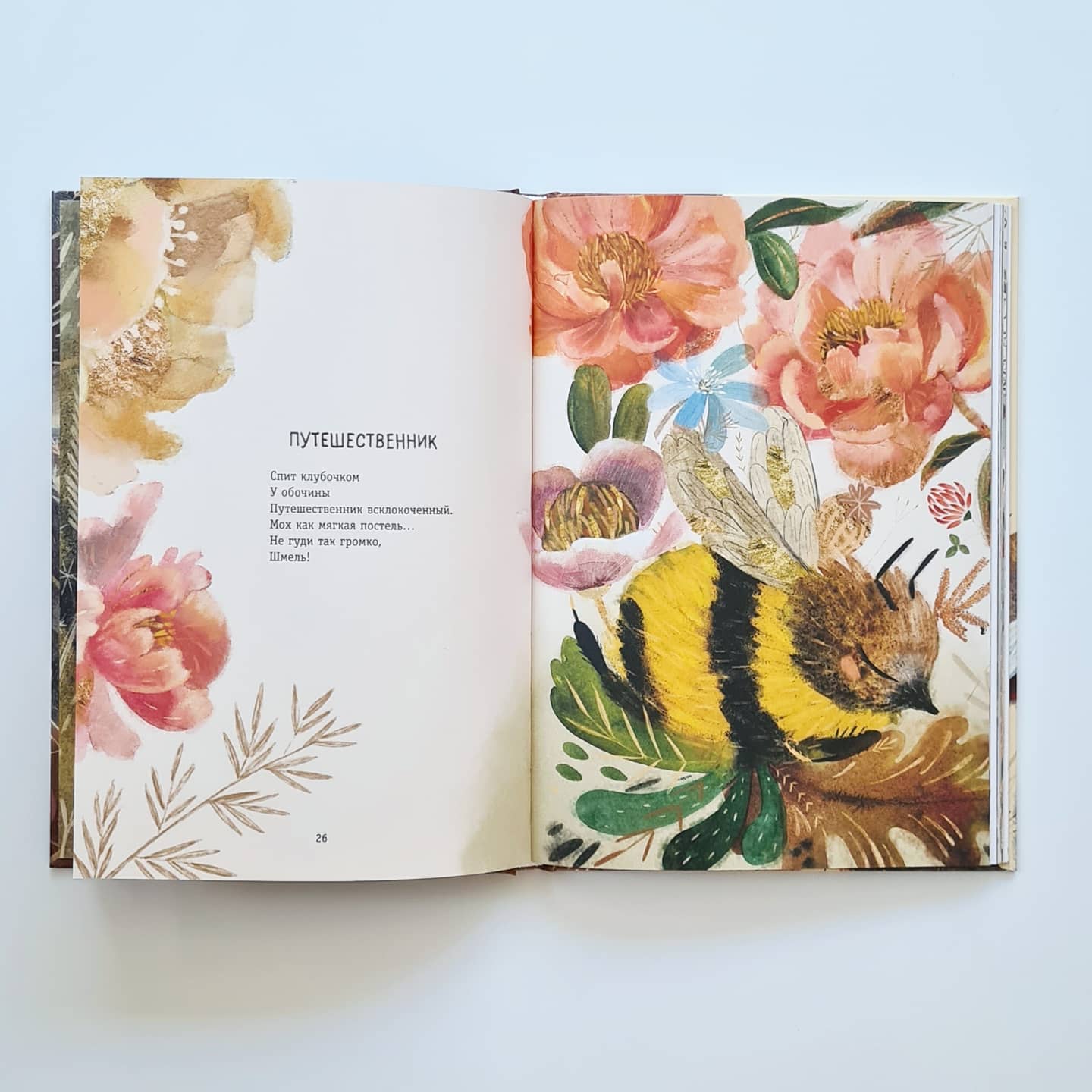 Большая книга зверей