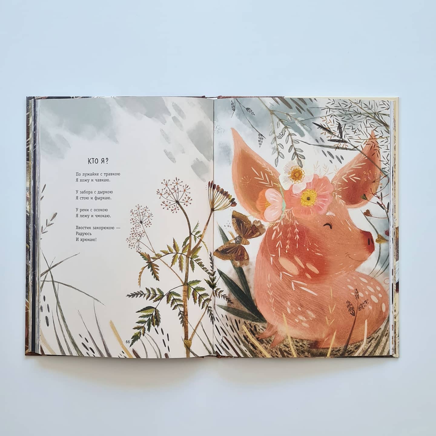 Большая книга зверей