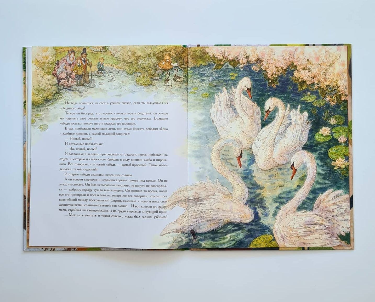 Гадкий утёнок