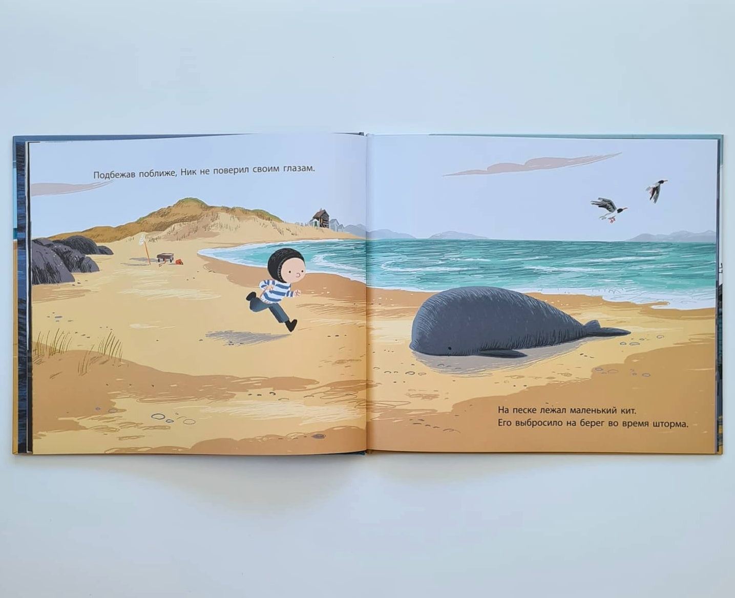 День, когда я встретил кита