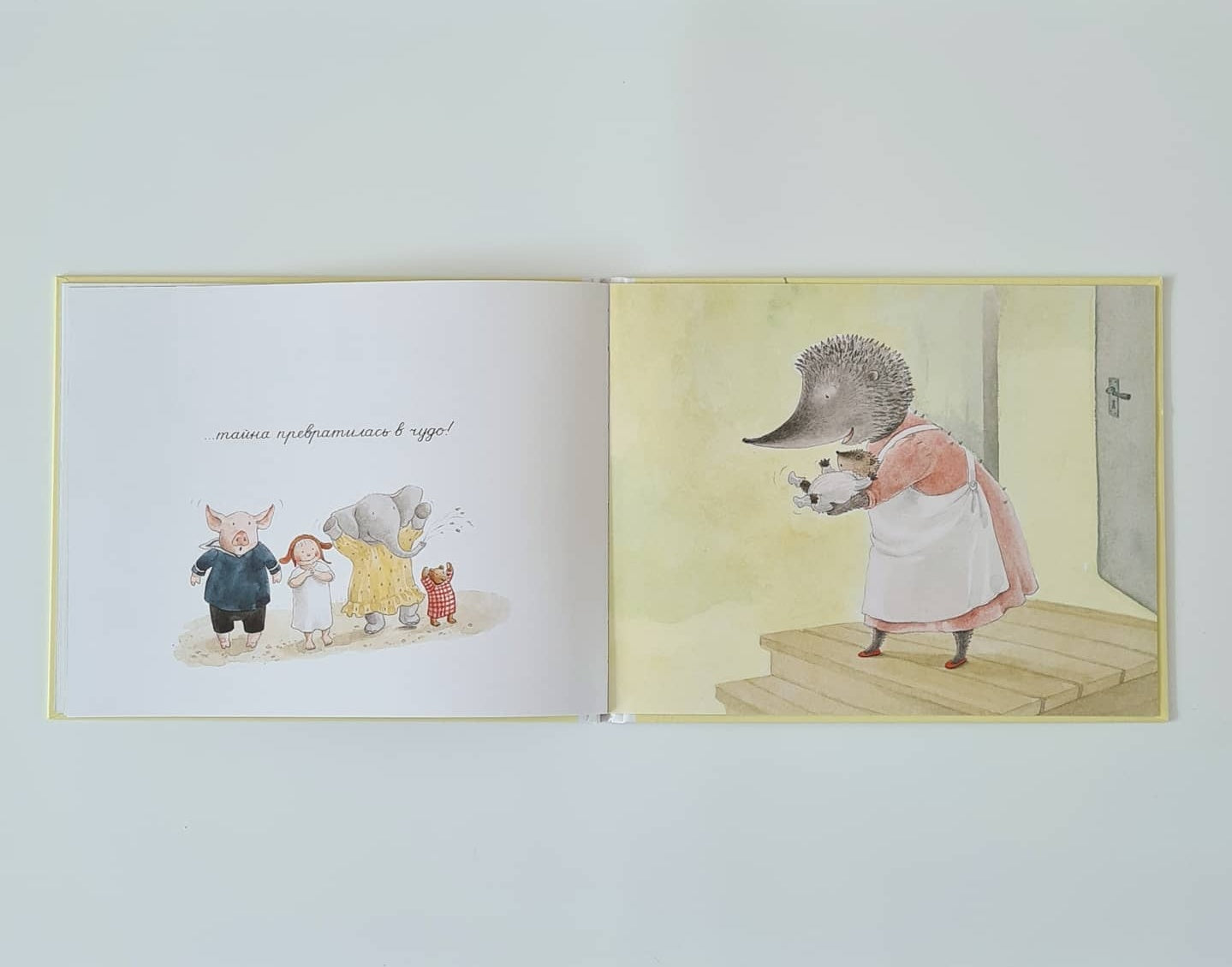 Тайна Хвоинки